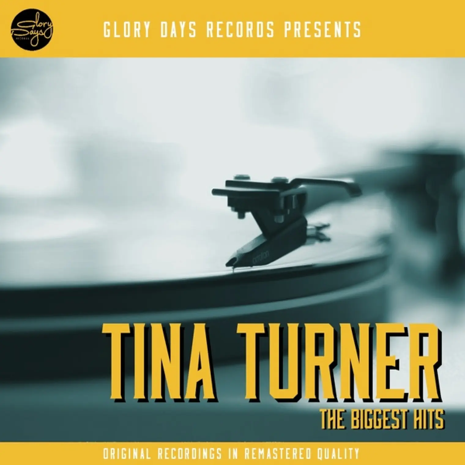 The Biggest Hits -  Tina Turner 