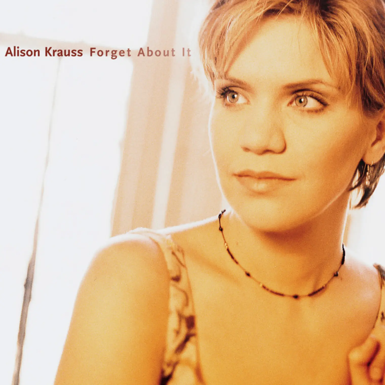 Forget About It -  Alison Krauss 