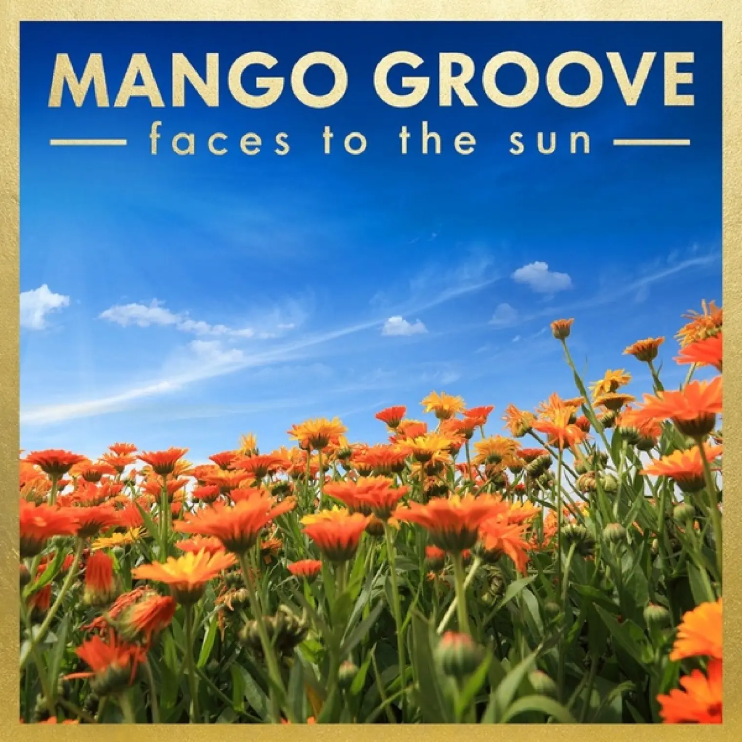 Faces To The Sun -  Mango Groove 