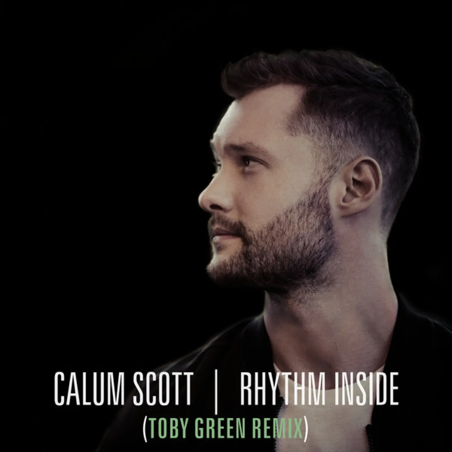 Rhythm Inside -  Calum Scott 