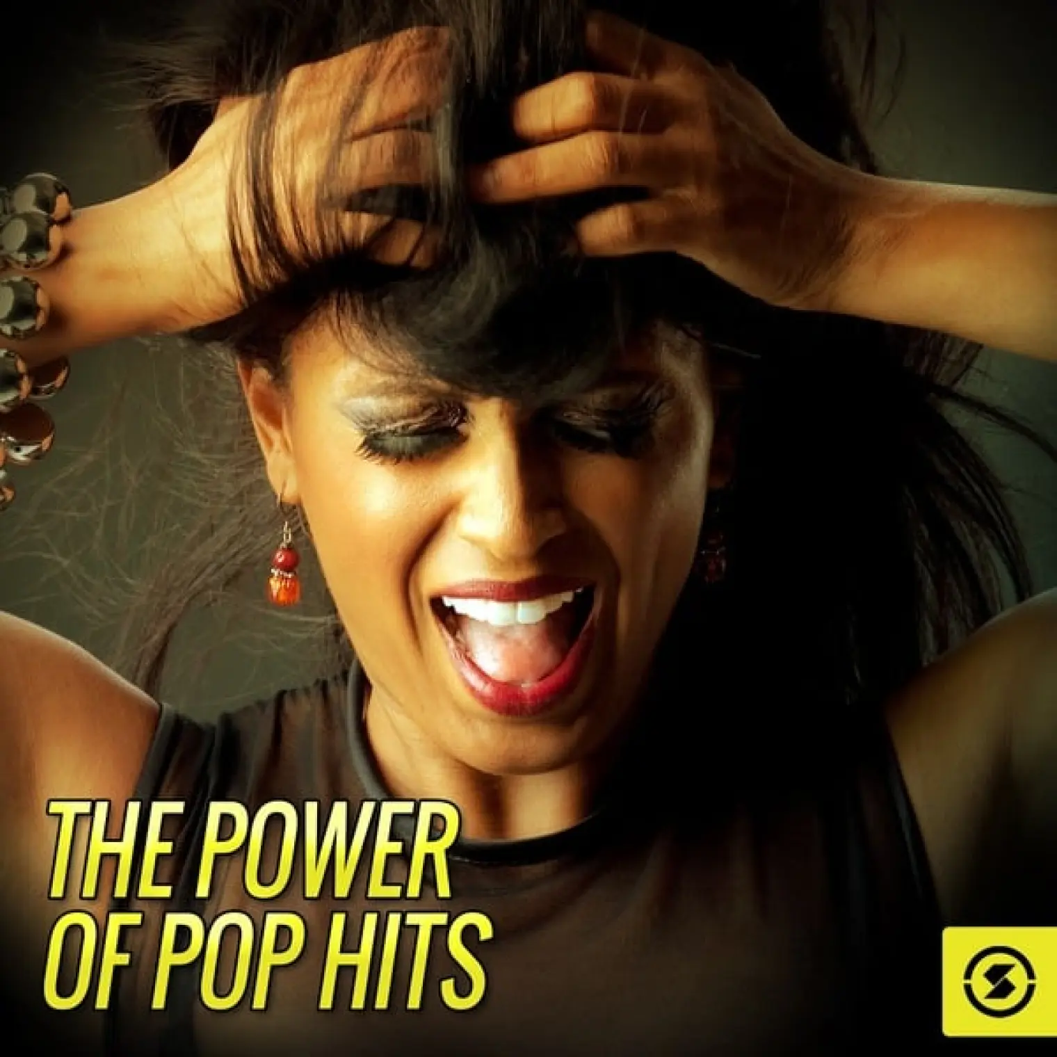 The Power of Pop Hits -  The Vocal Masters 