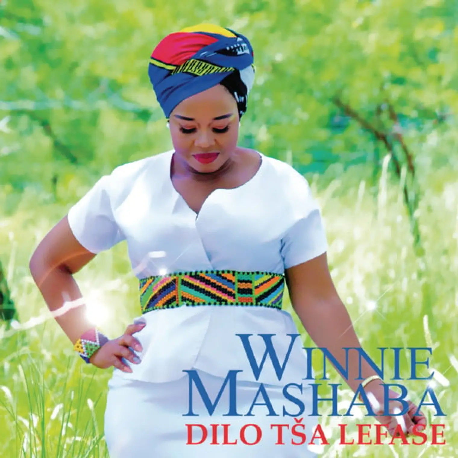 Dilo Tša Lefase -  Dr Winnie Mashaba 