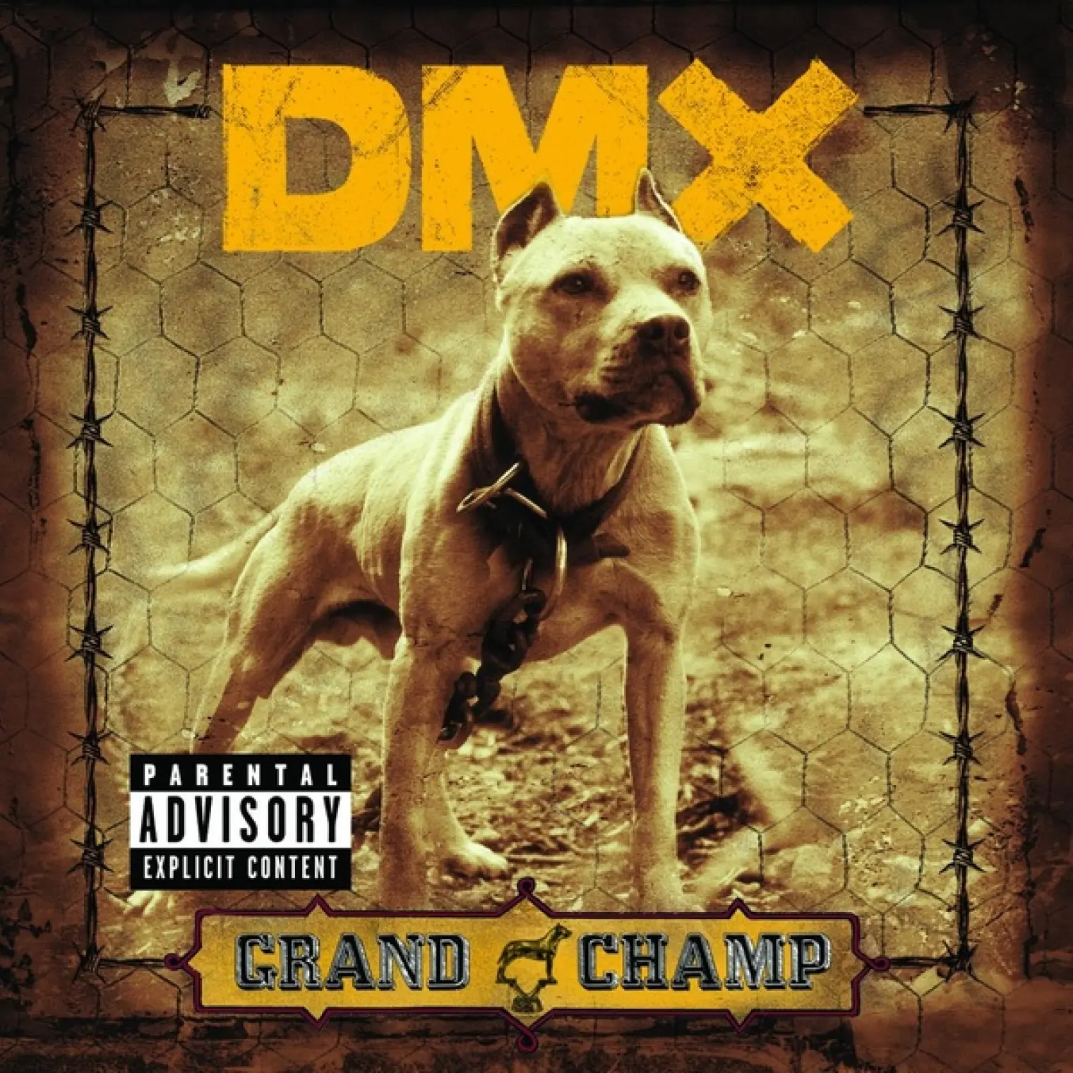 Grand Champ -  DMX 