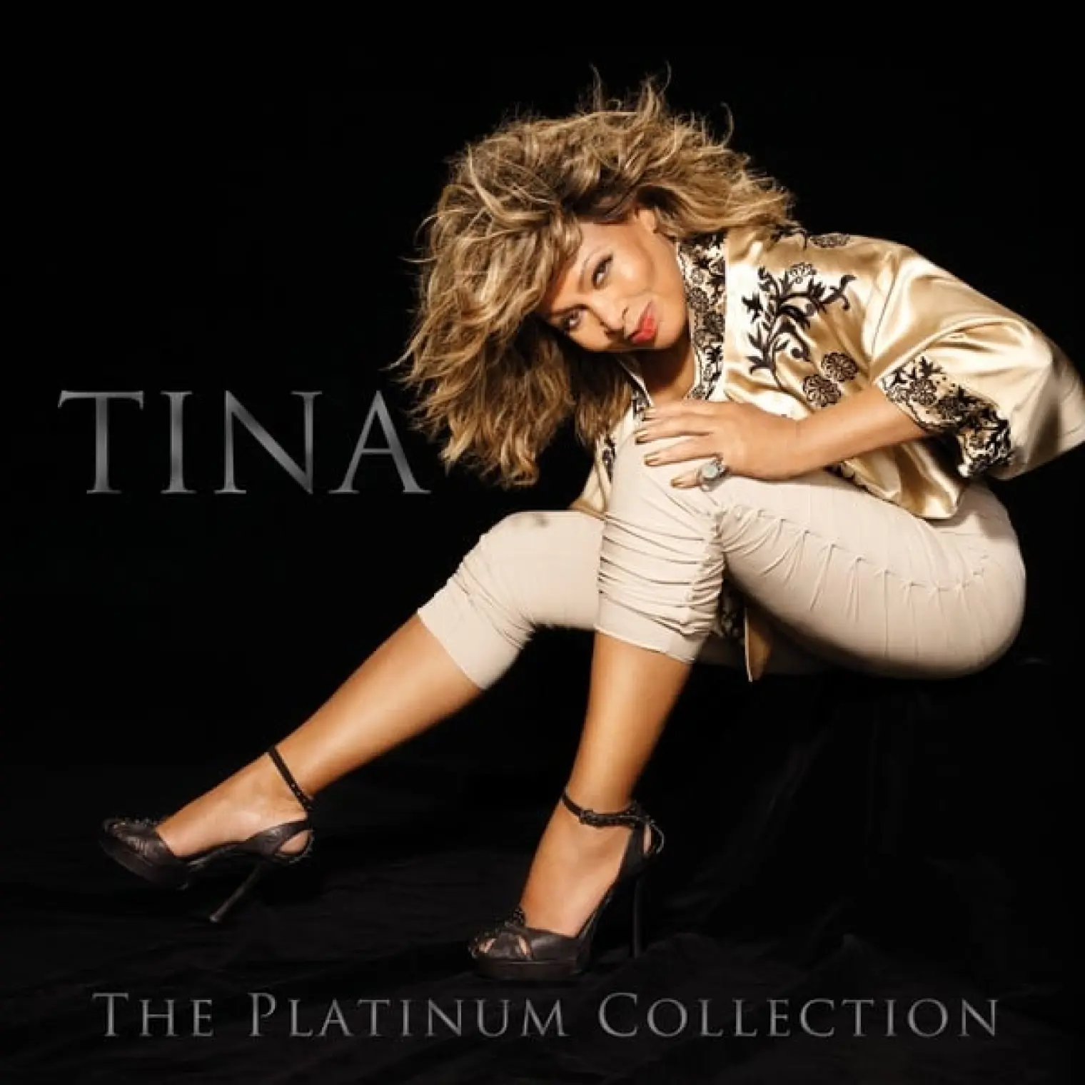 Tina Turner: The Platinum Collection -  Tina Turner 