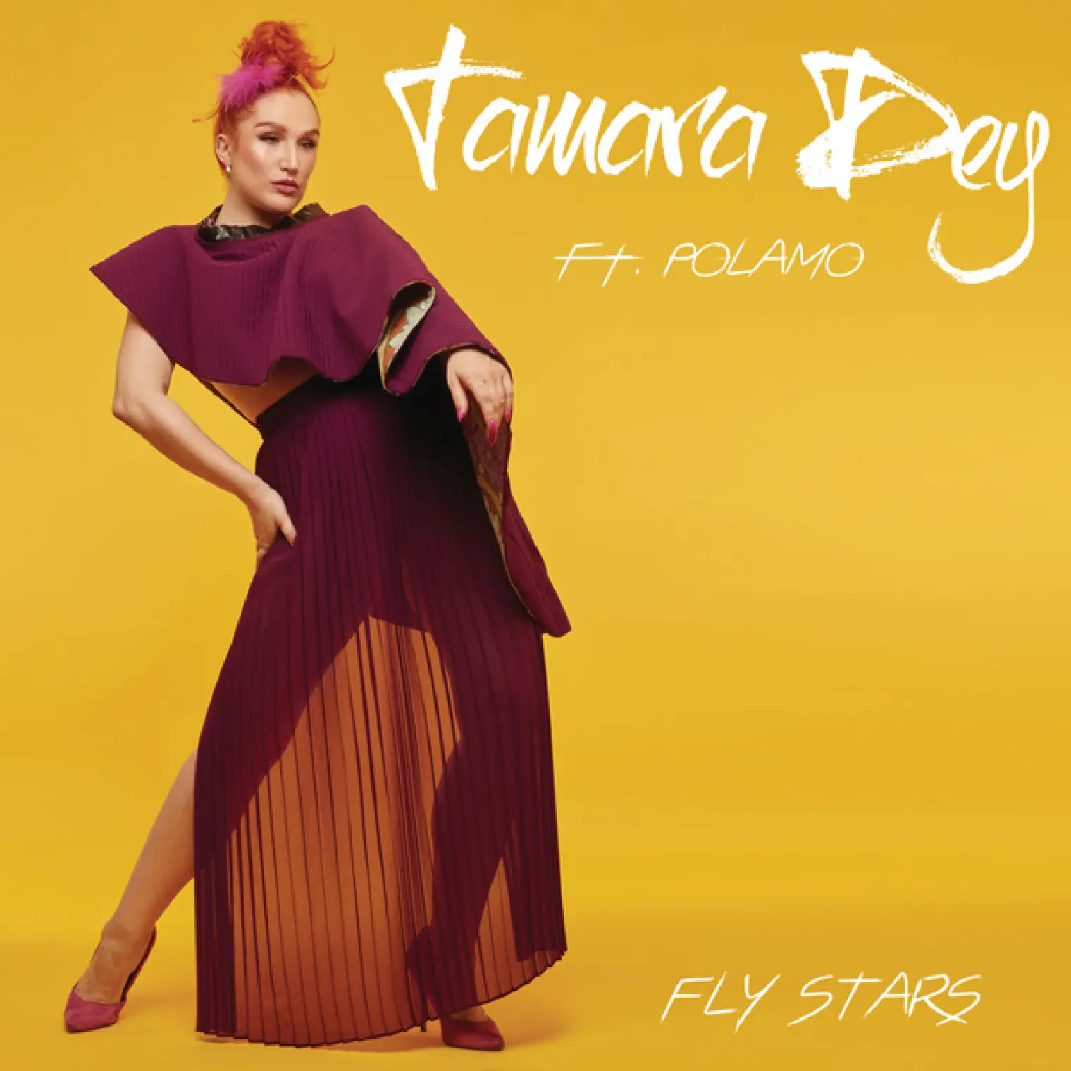 Fly Stars -  Tamara Dey 