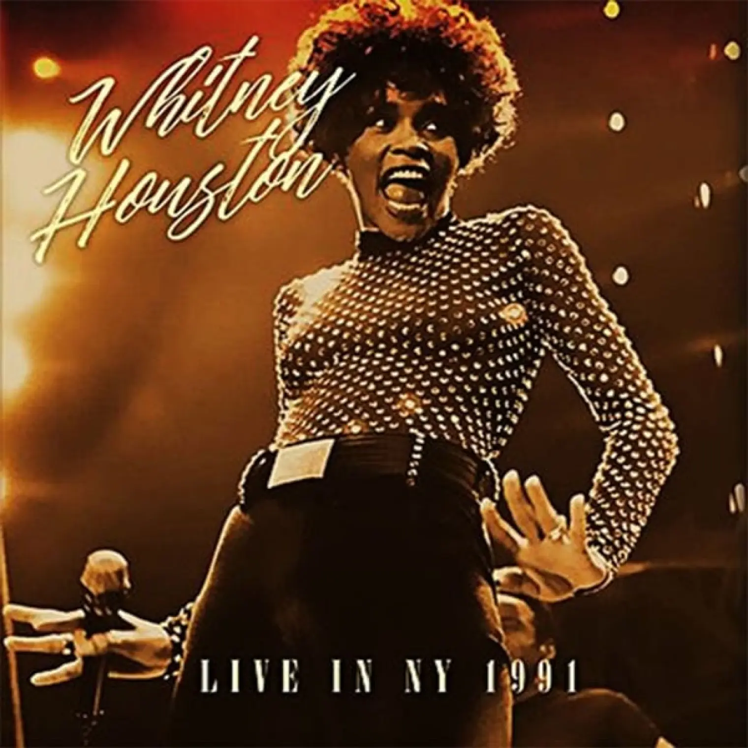 Madison Square Garden, New York, July 23rd, 1991 -  Whitney Houston 