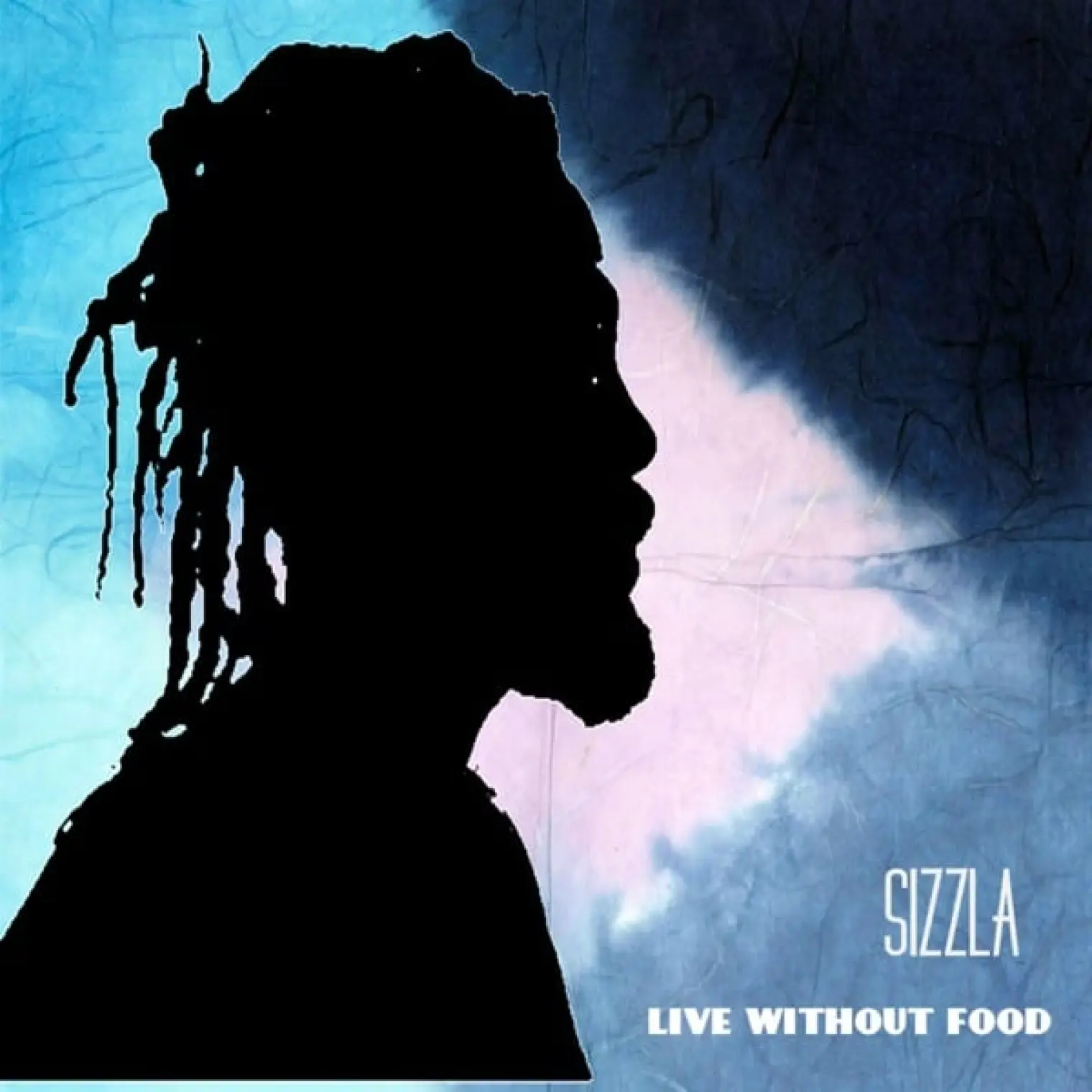 LIVING WITHOUT FOOD -  Sizzla 