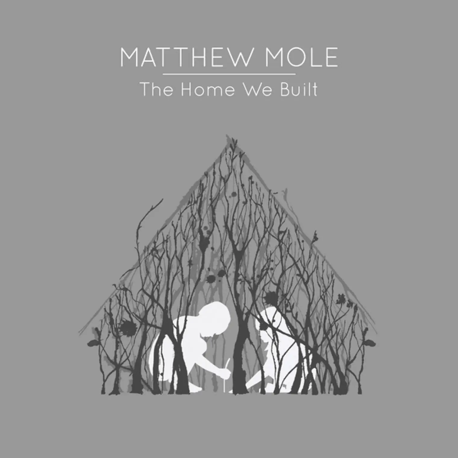 The Home We Built Deluxe Edition -  Matthew Mole 