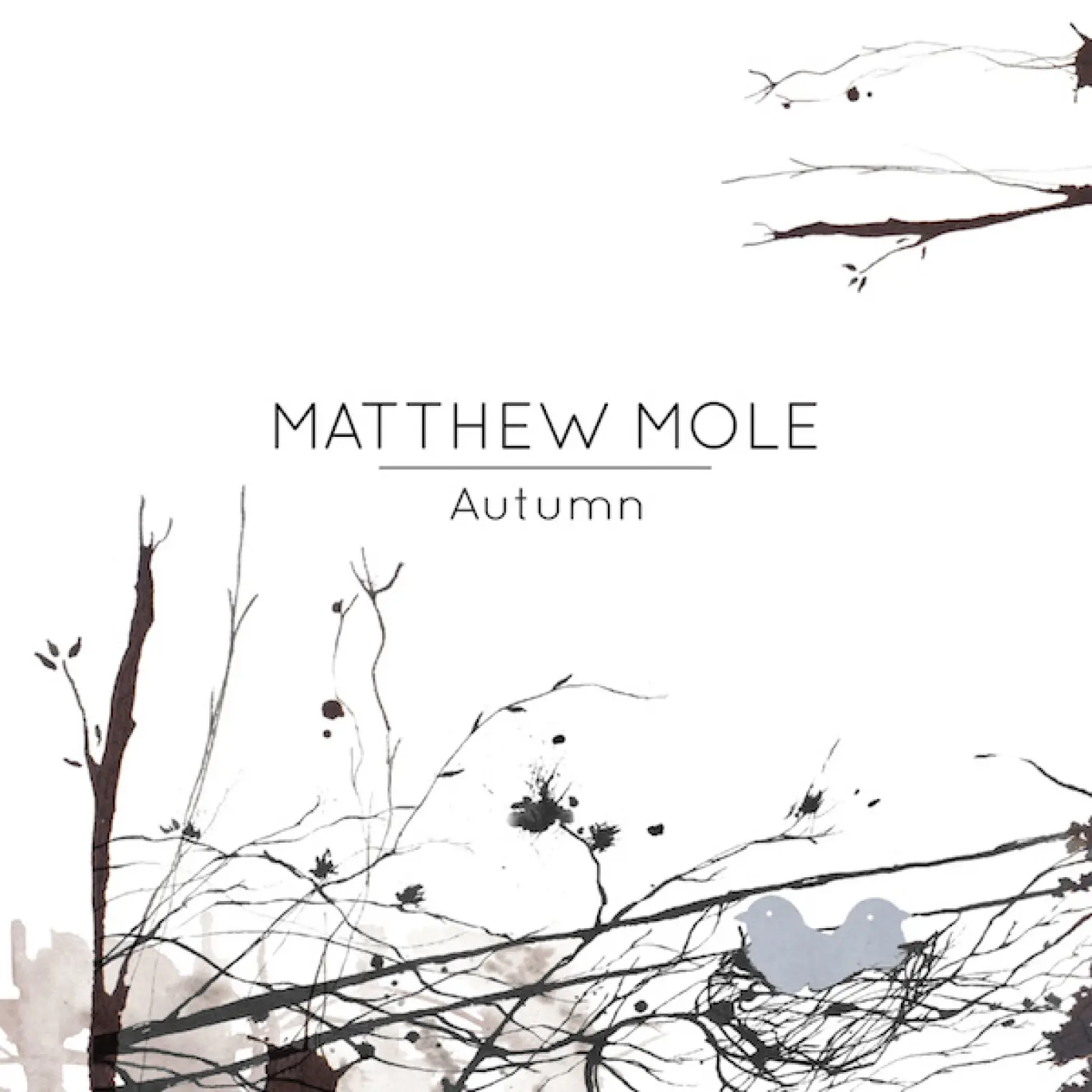 Autumn -  Matthew Mole 