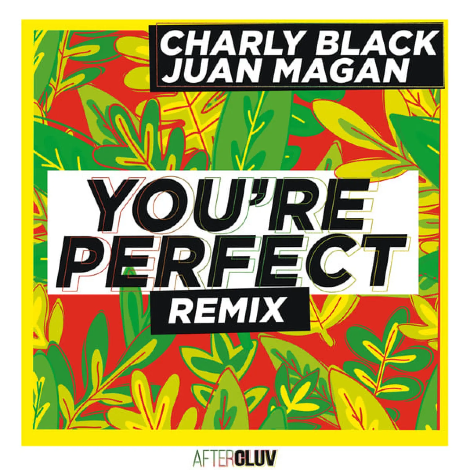 You're Perfect -  Charly Black 