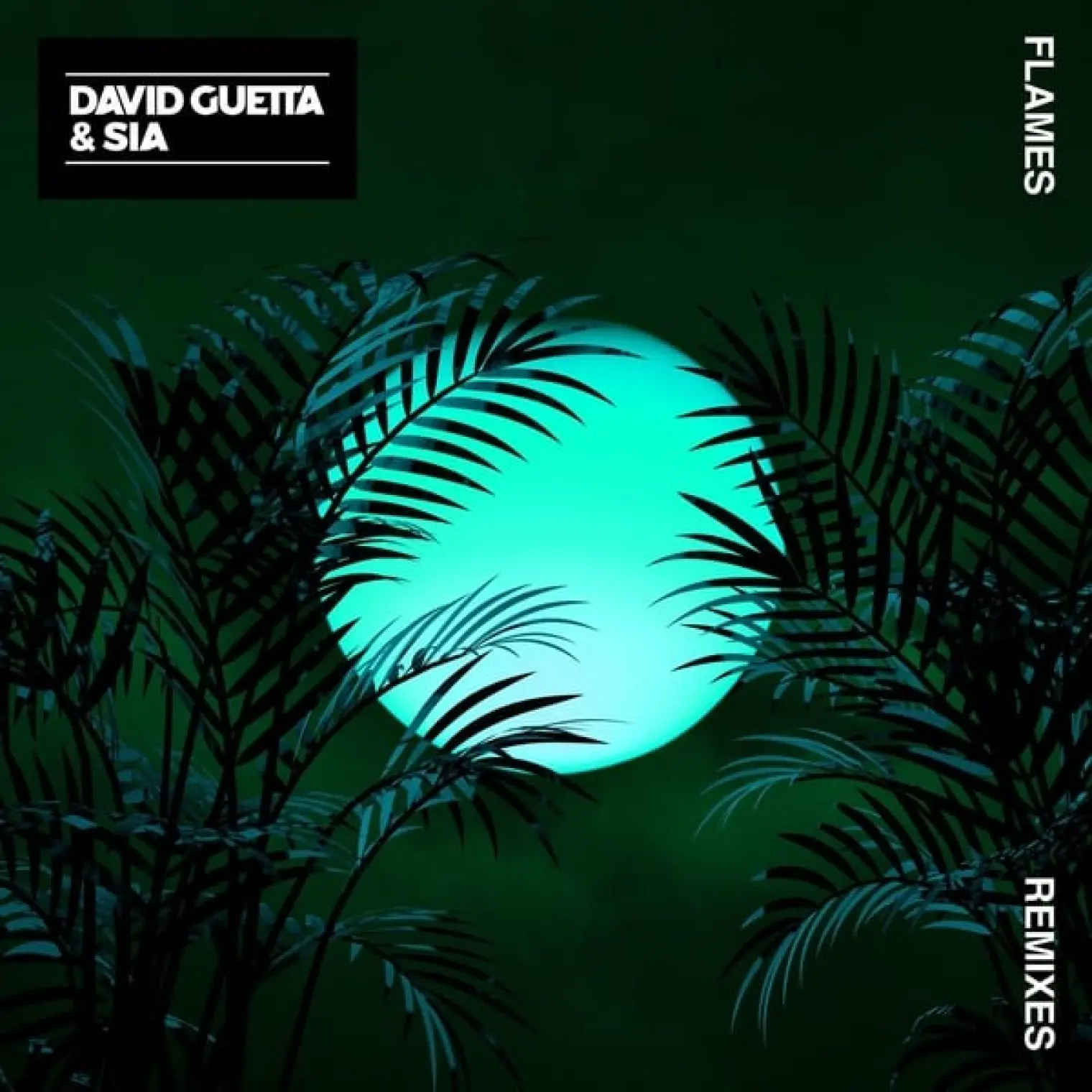 Flames (Remixes EP) -  David Guetta 