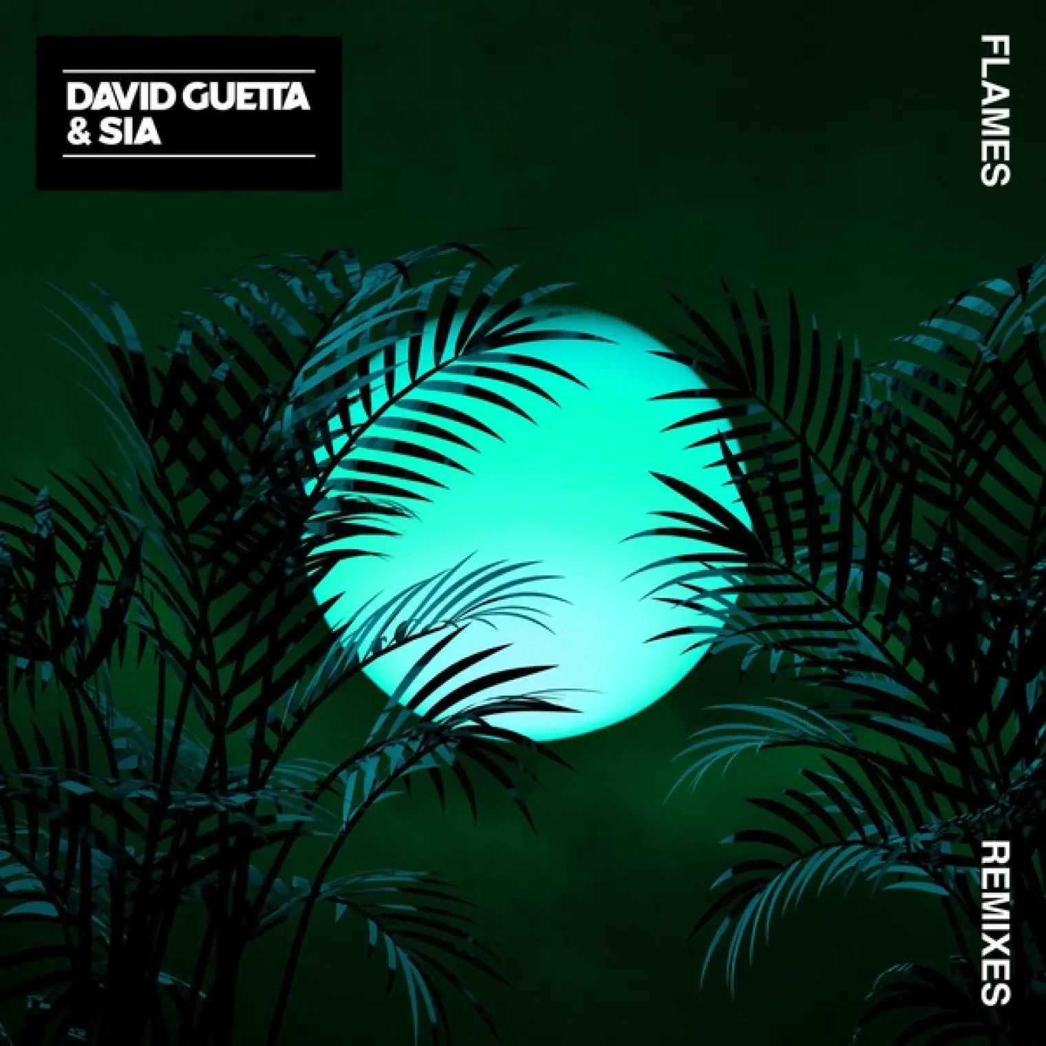 Flames (Remixes) -  David Guetta 