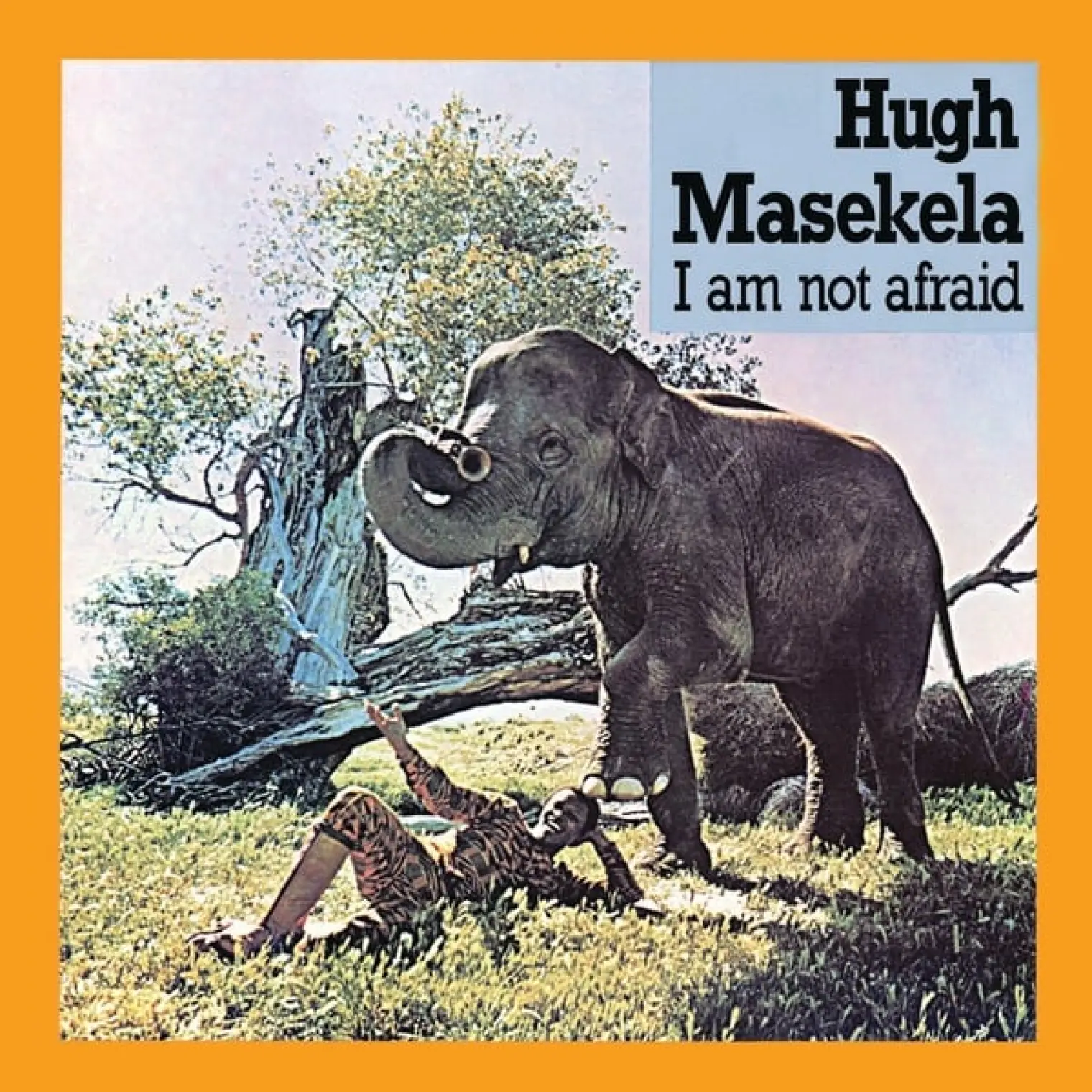 I Am Not Afraid -  Hugh Masekela 