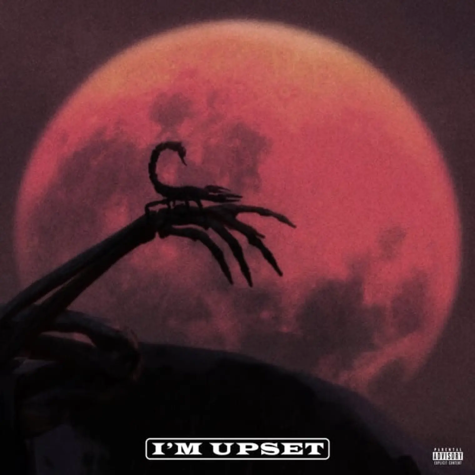 I'm Upset -  Drake 