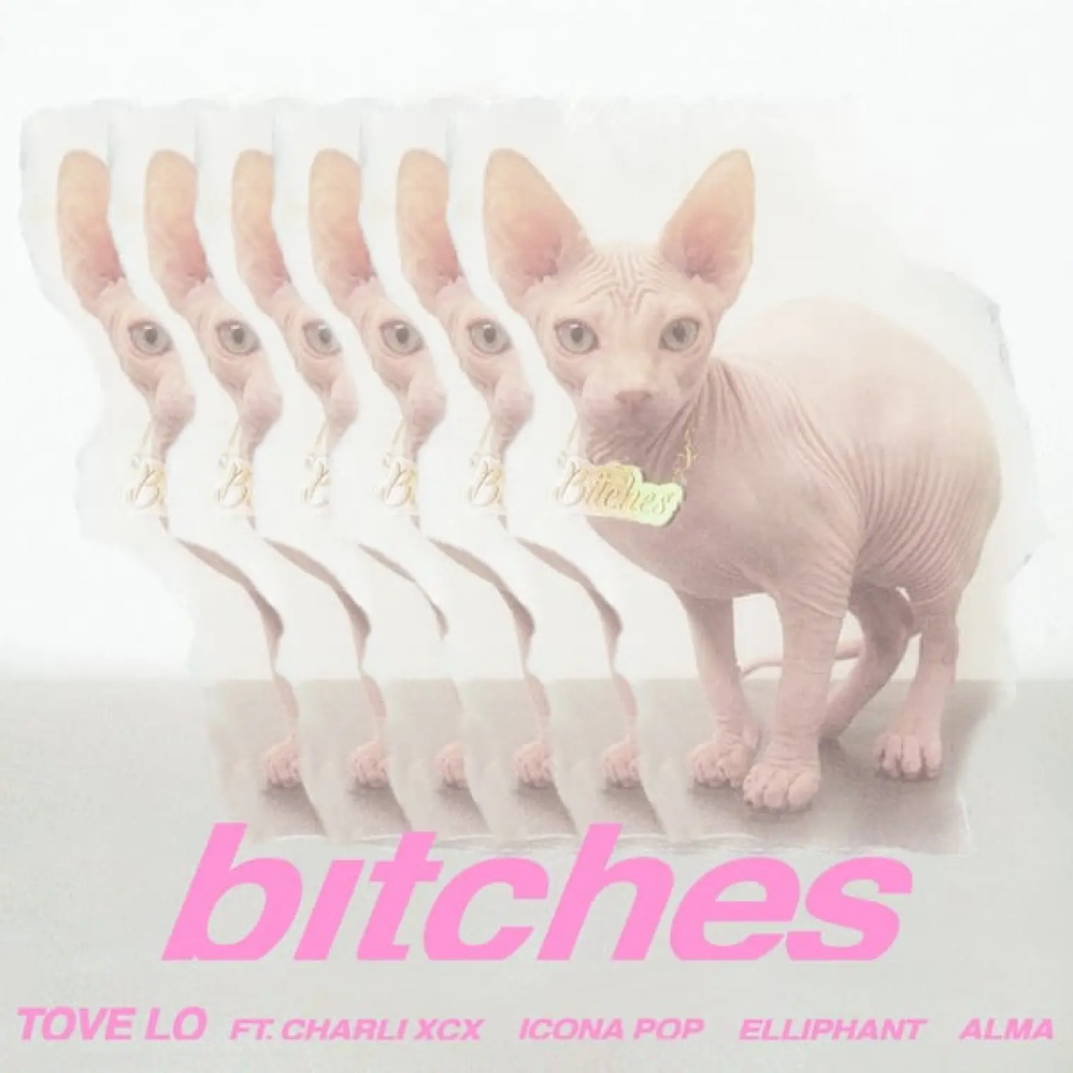 bitches -  Tove Lo 
