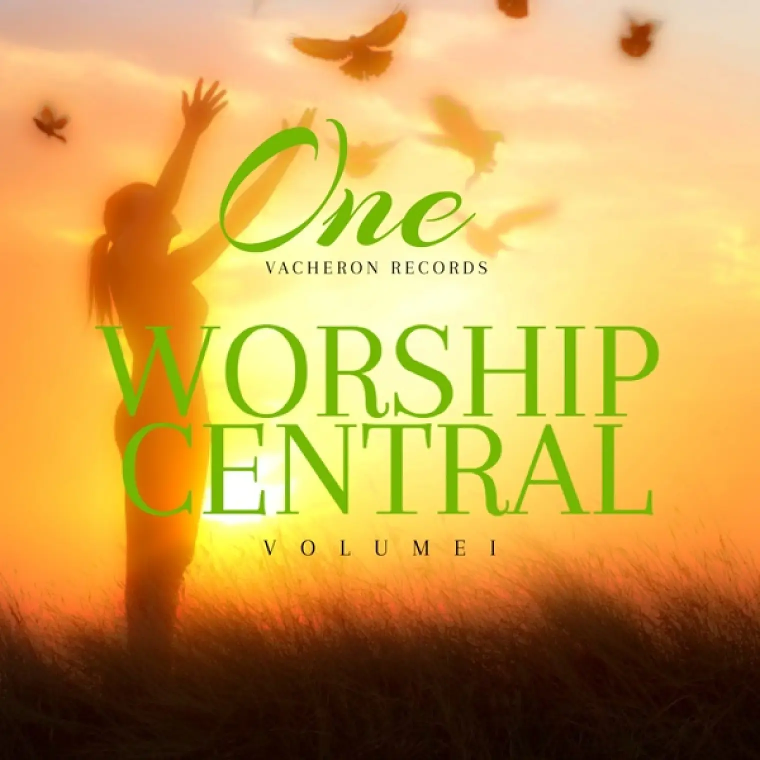 Worship Central, Vol. 2 -  One 