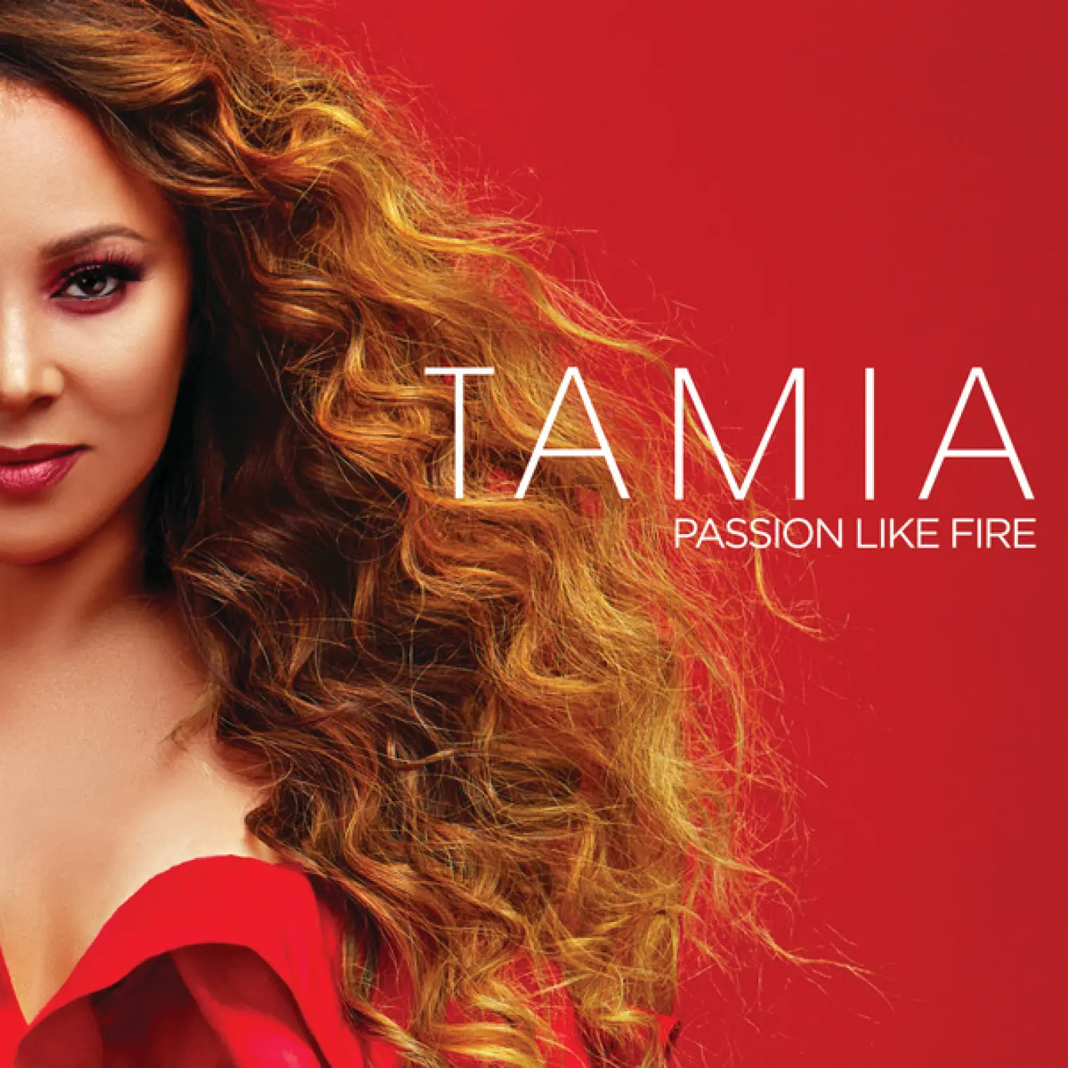 Passion Like Fire -  Tamia 