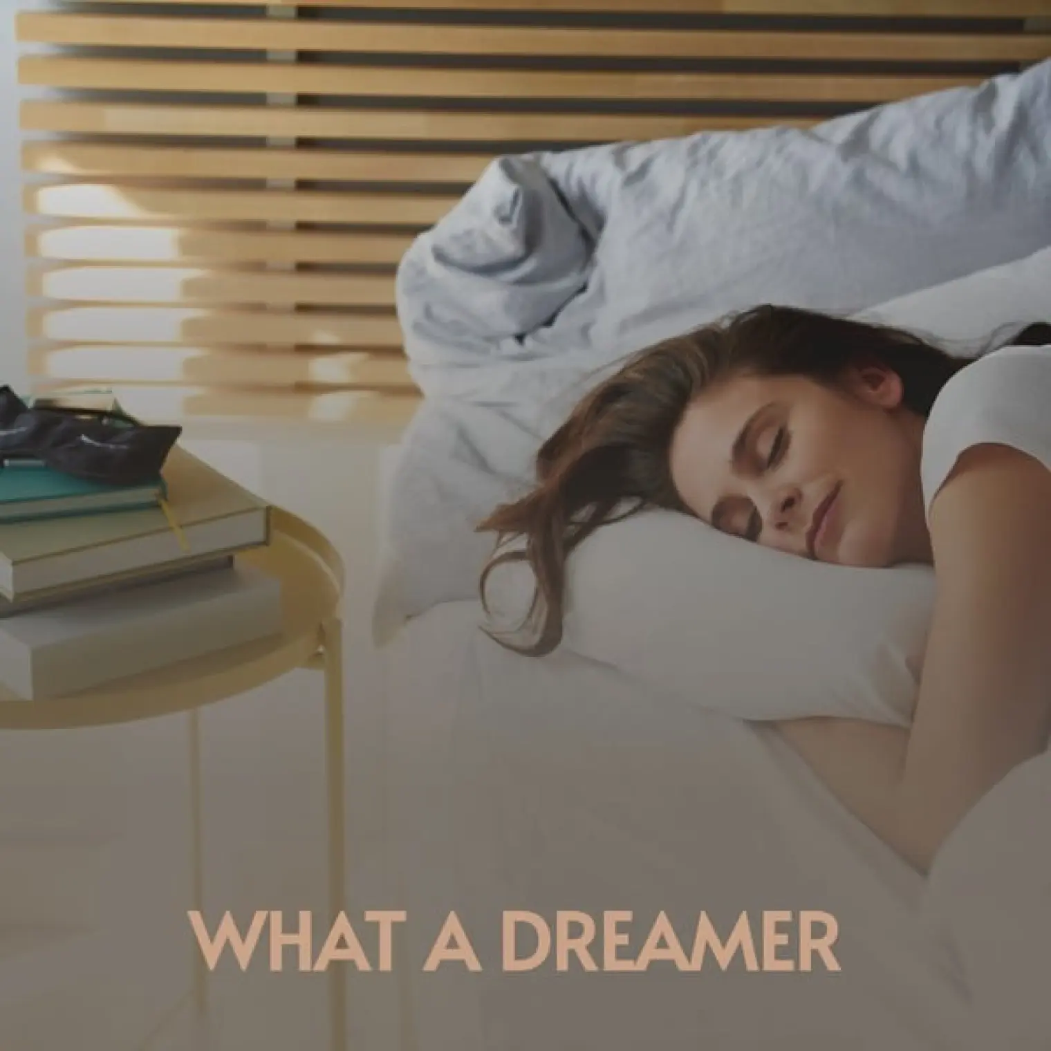 What a Dreamer -  Various Artists 