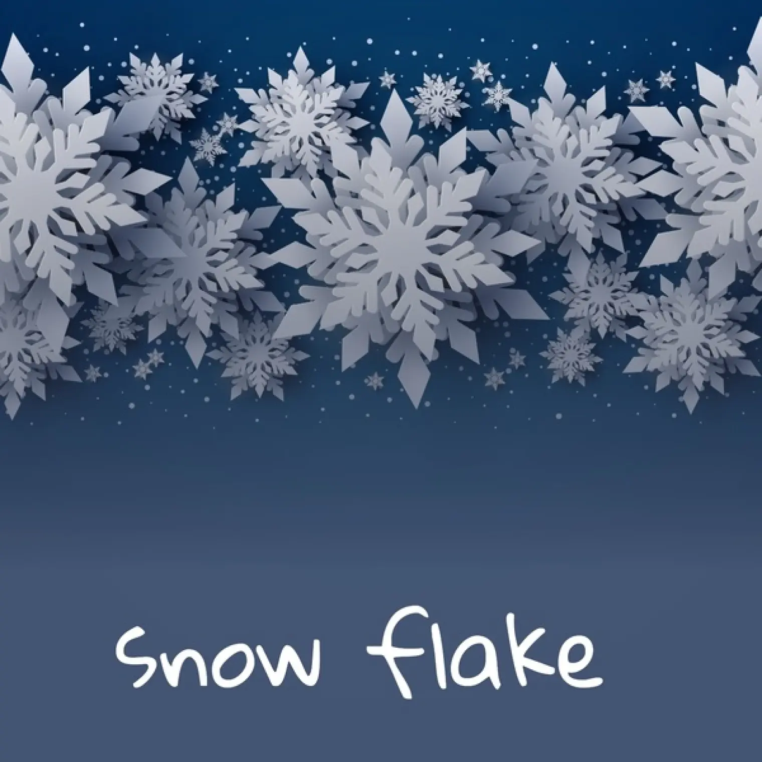 Snow Flake -  Various Artists 