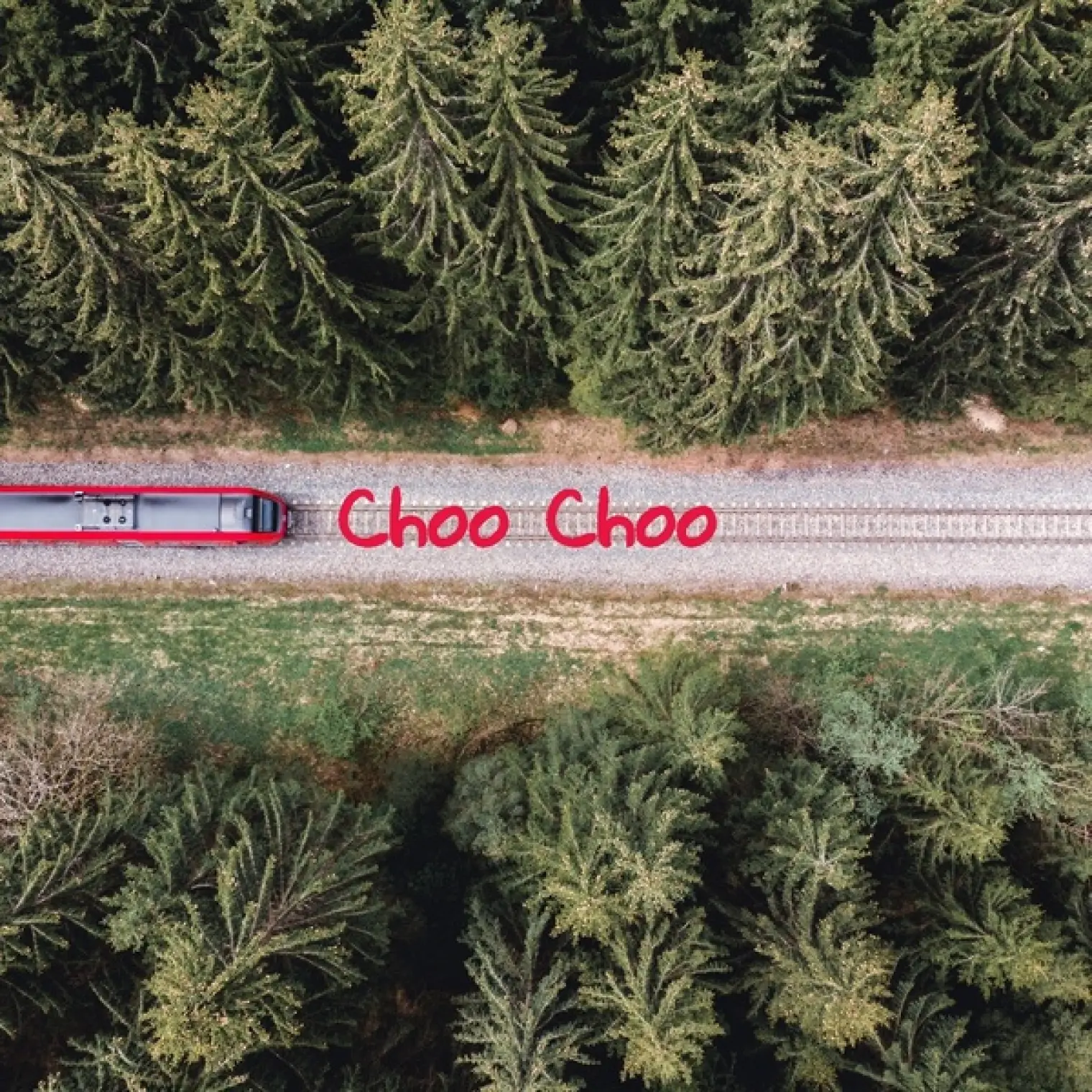 Choo Choo -  Various Artists 