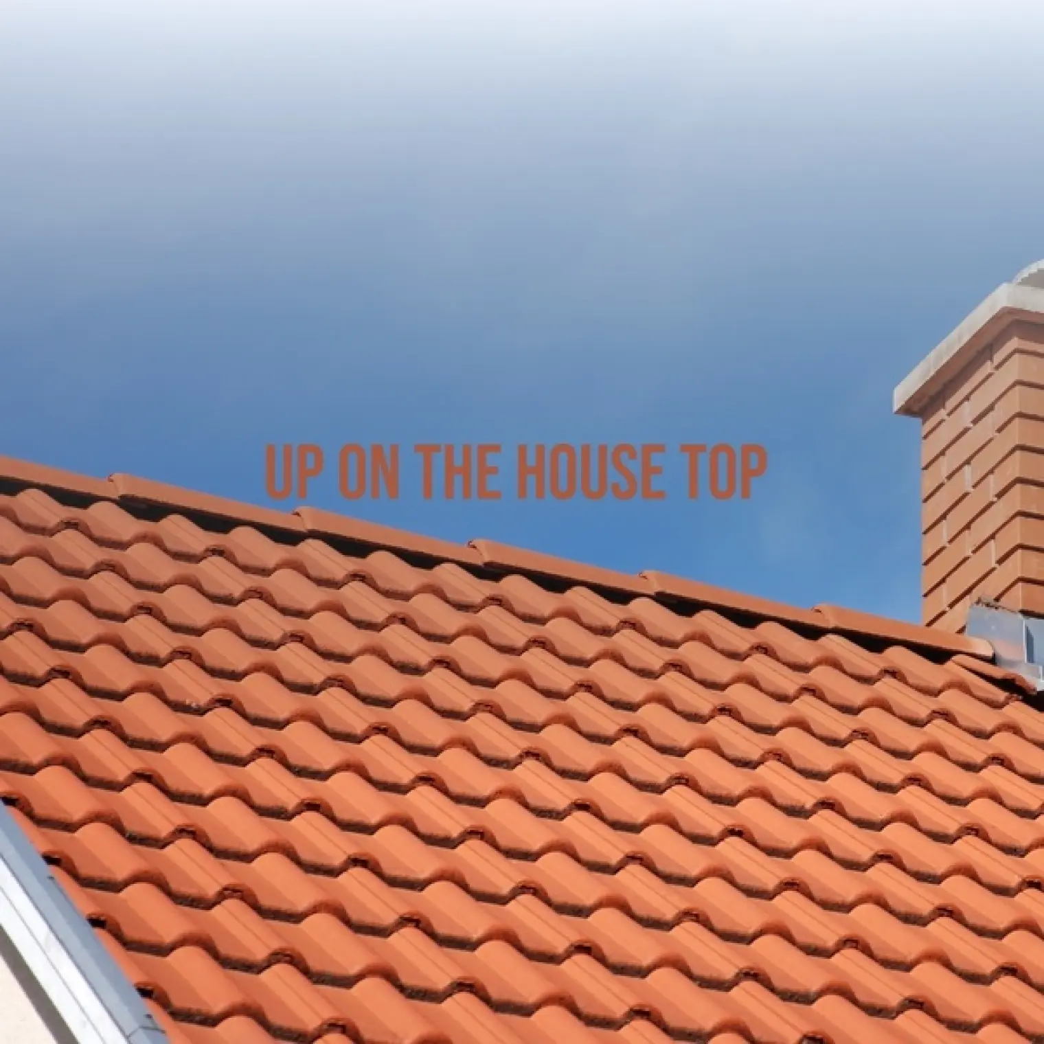 Up on the House Top -  Various Artists 