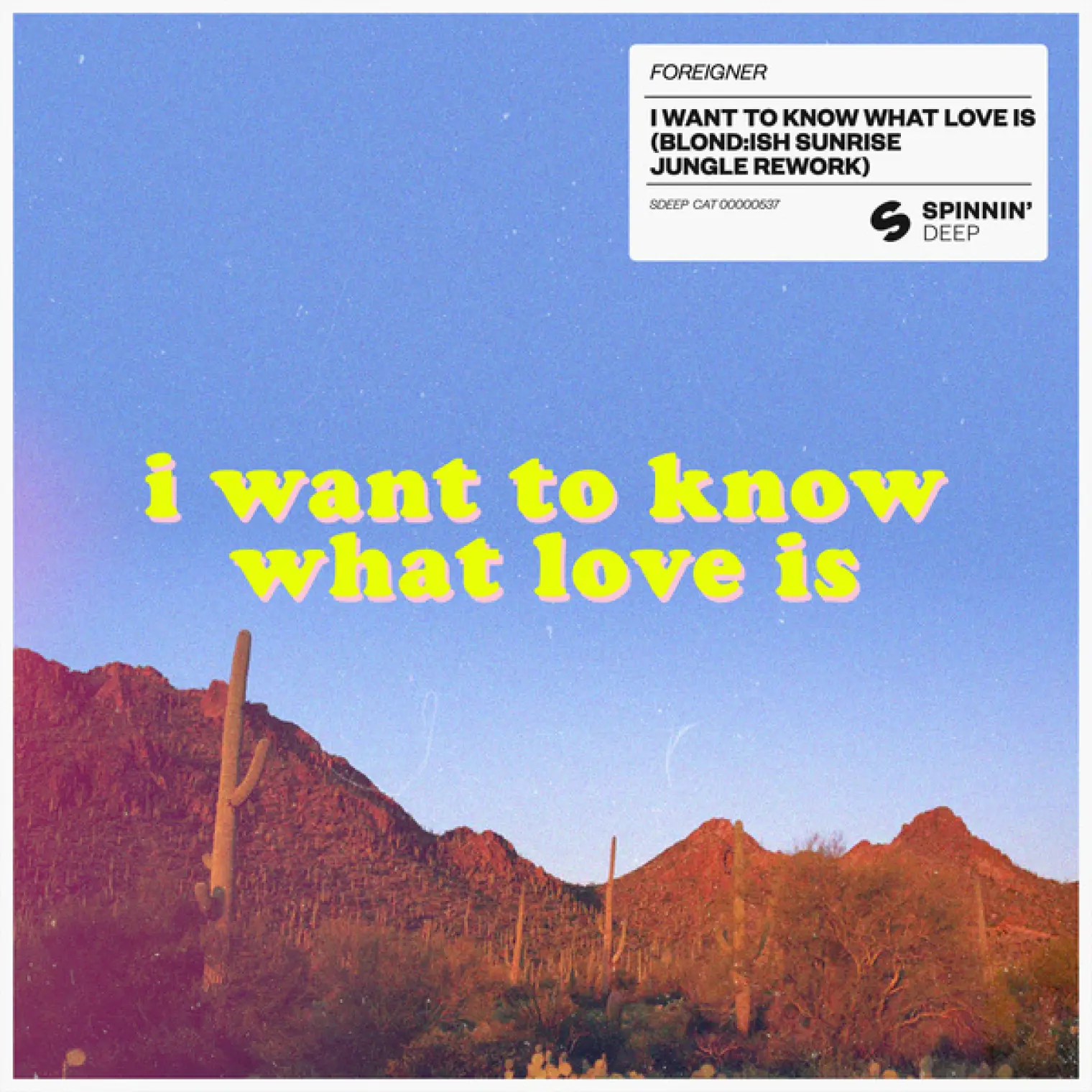 I Want To Know What Love Is (BLOND:ISH Sunrise Jungle Rework) -  Foreigner 