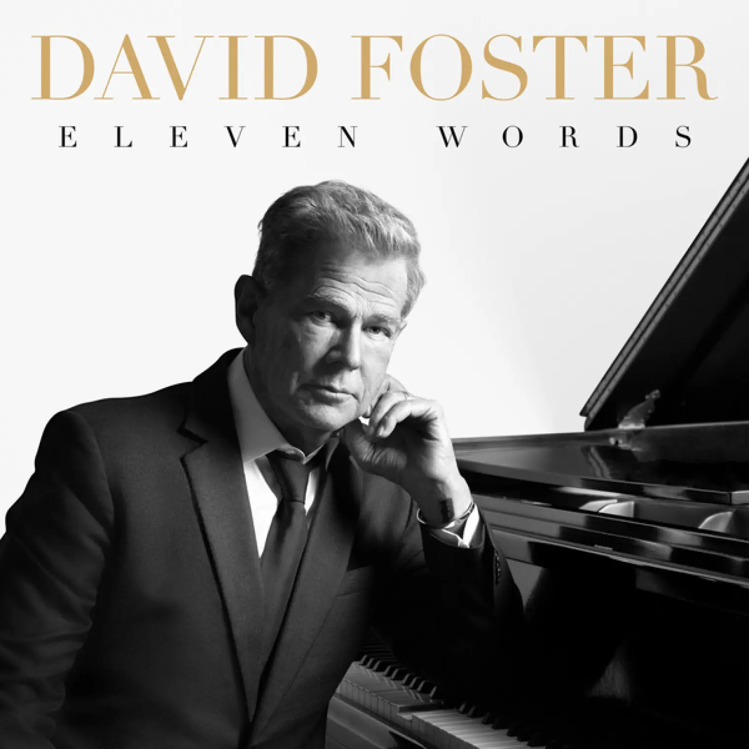 Eleven Words -  David Foster 