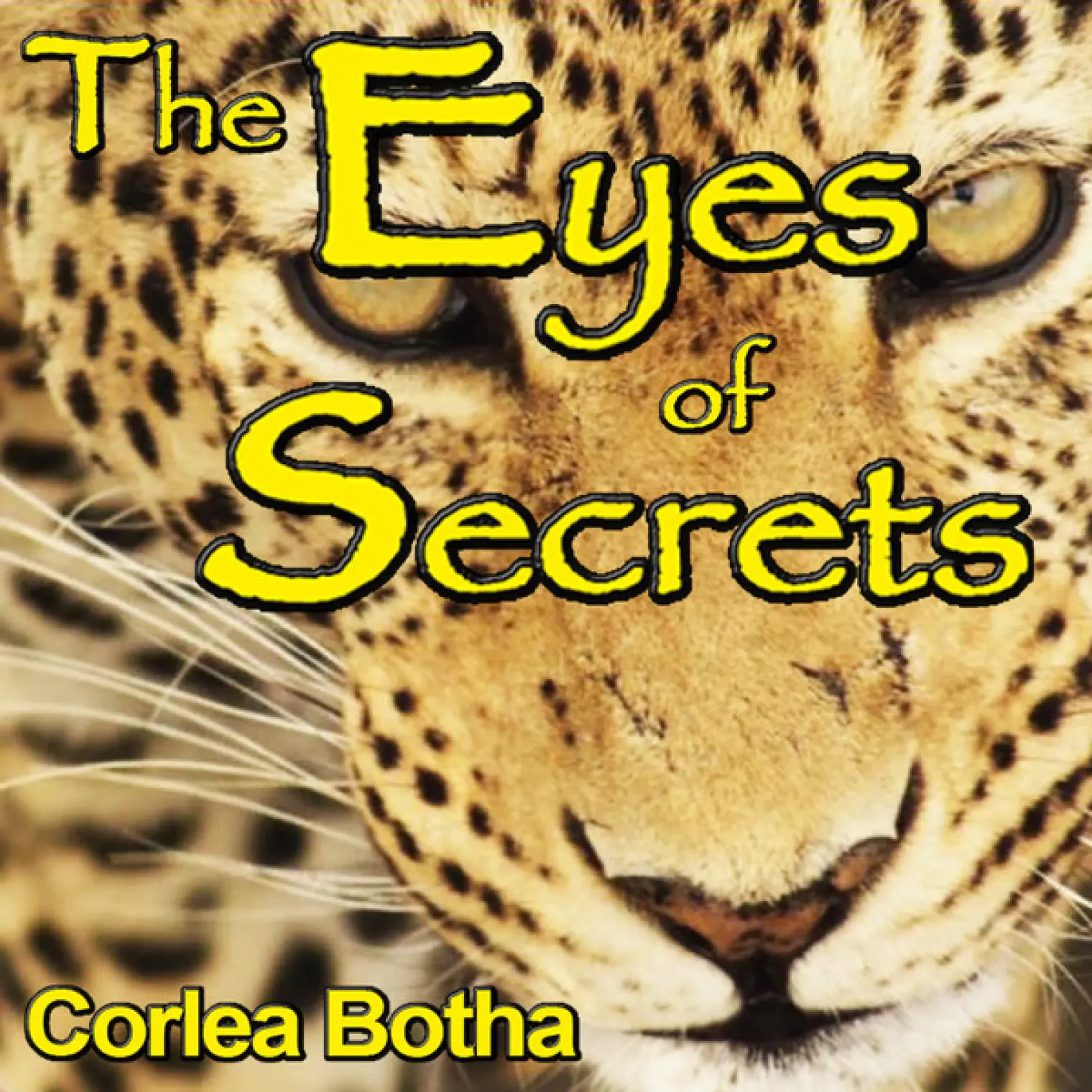 The Eyes of Secrets -  Corlea Botha 