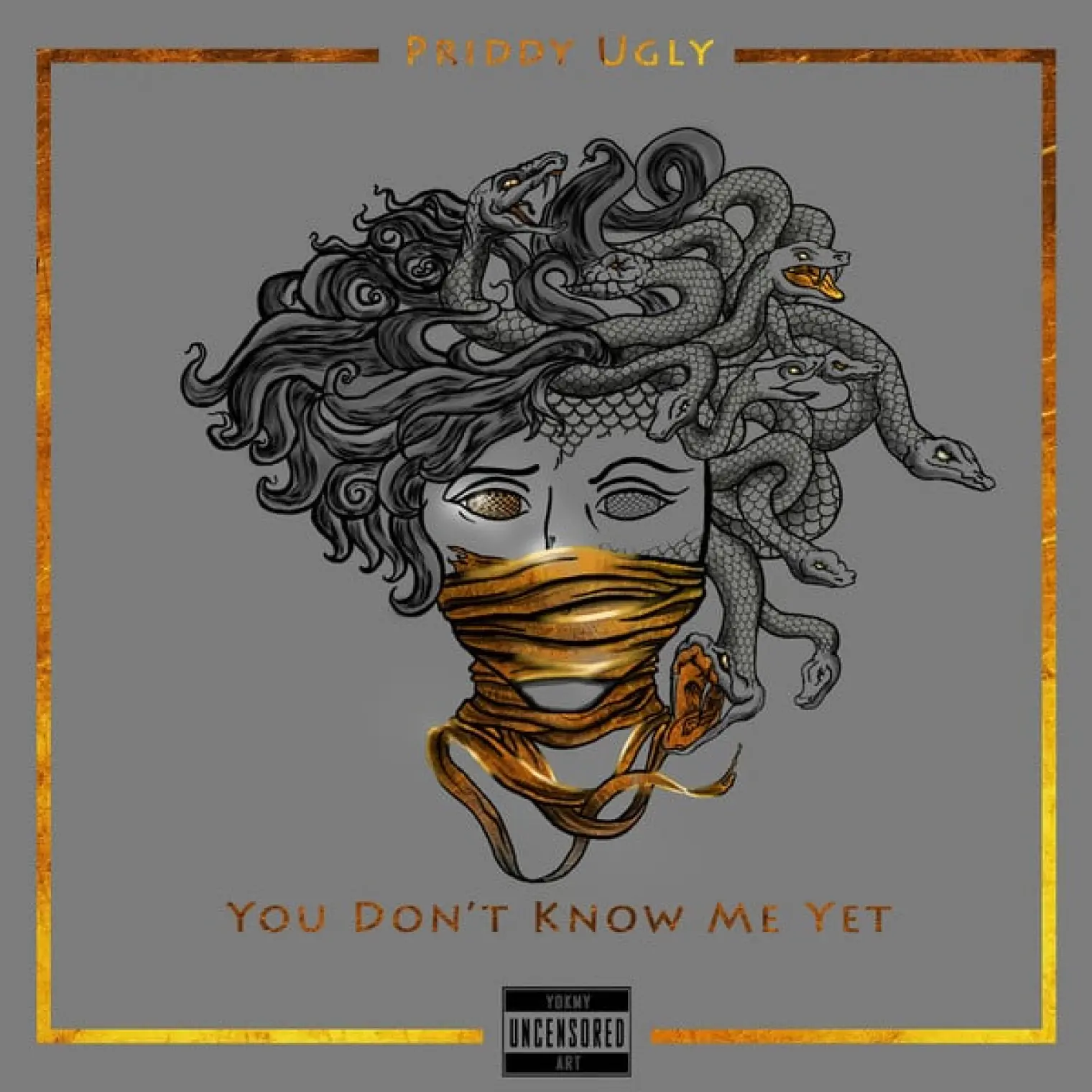You Don't Know Me Yet (Deluxe) -  Priddy Ugly 
