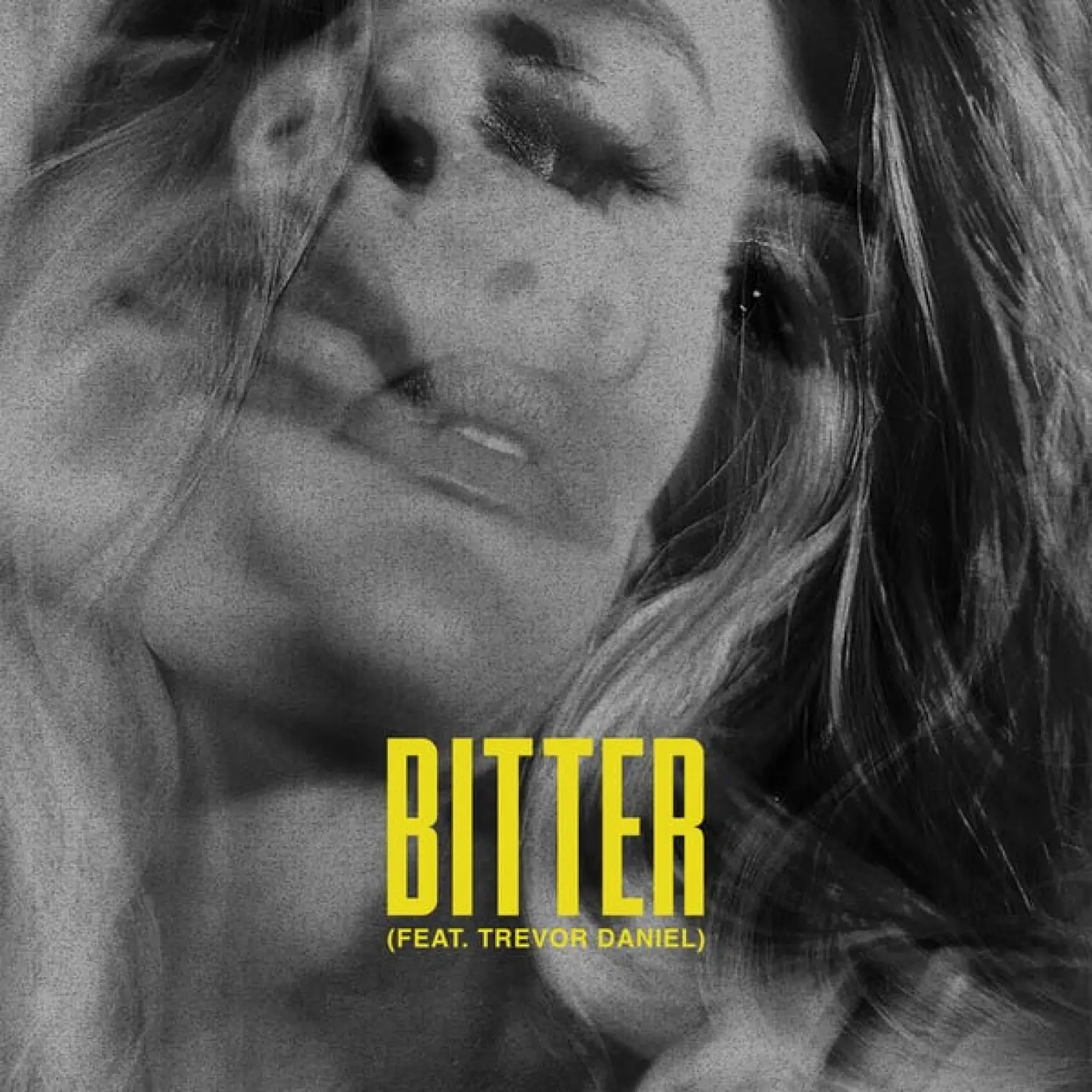 Bitter -  Fletcher 
