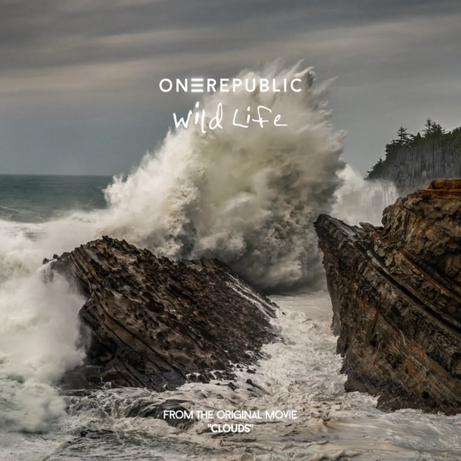 Wild Life -  OneRepublic 
