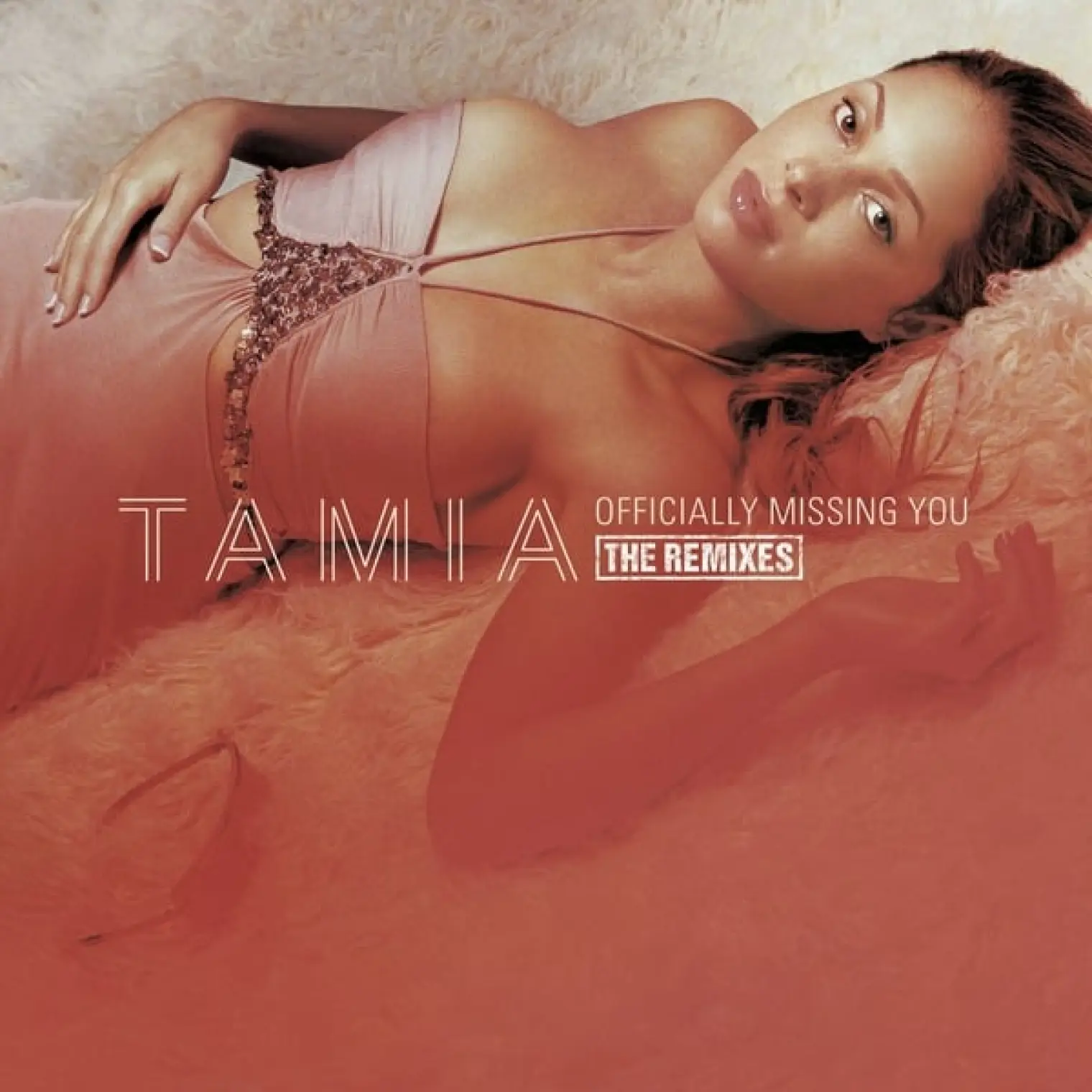 Officially Missing You (U.S. CD Maxi Single Remixes) -  Tamia 