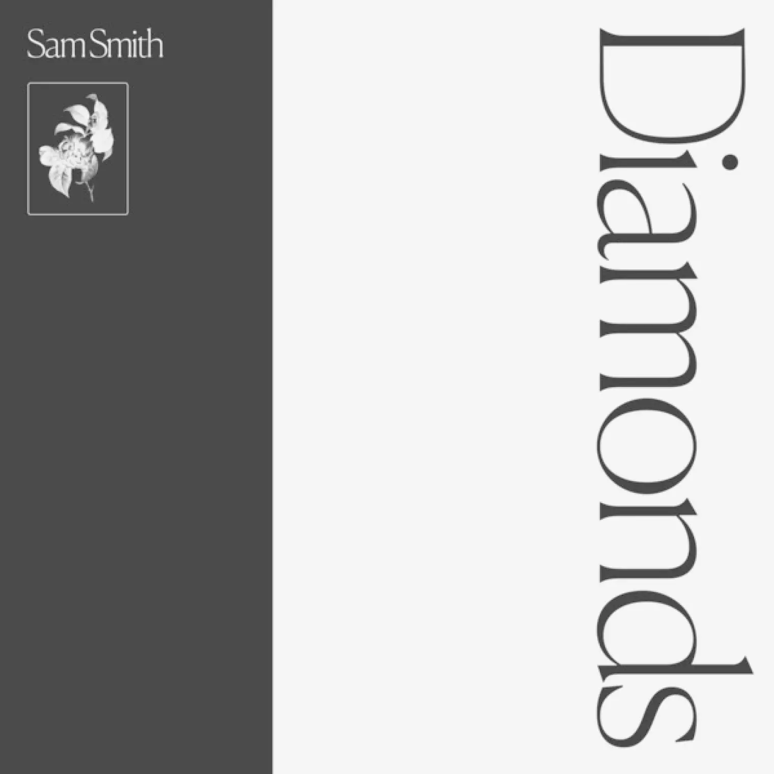 Diamonds -  Sam Smith 