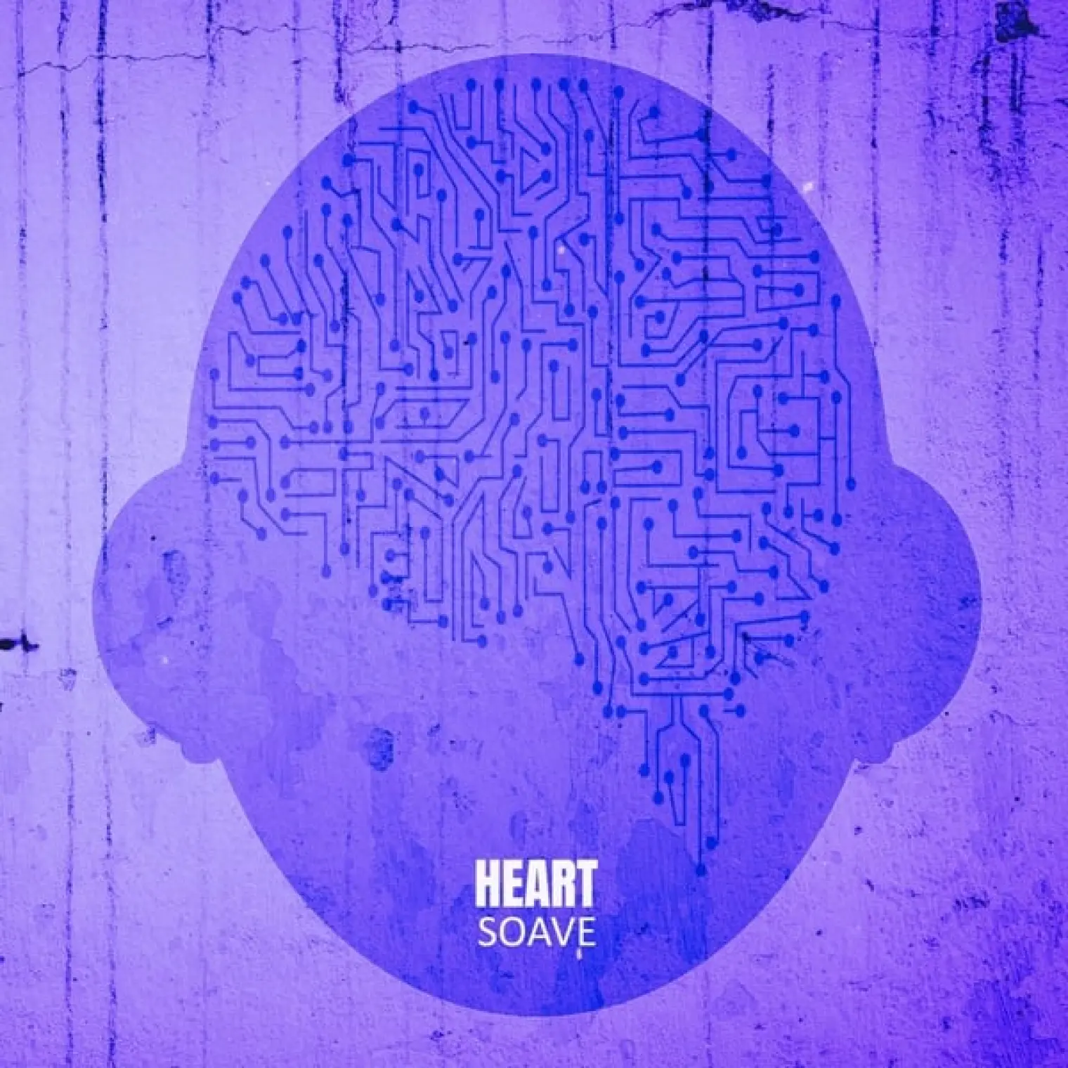 Soave -  Heart 