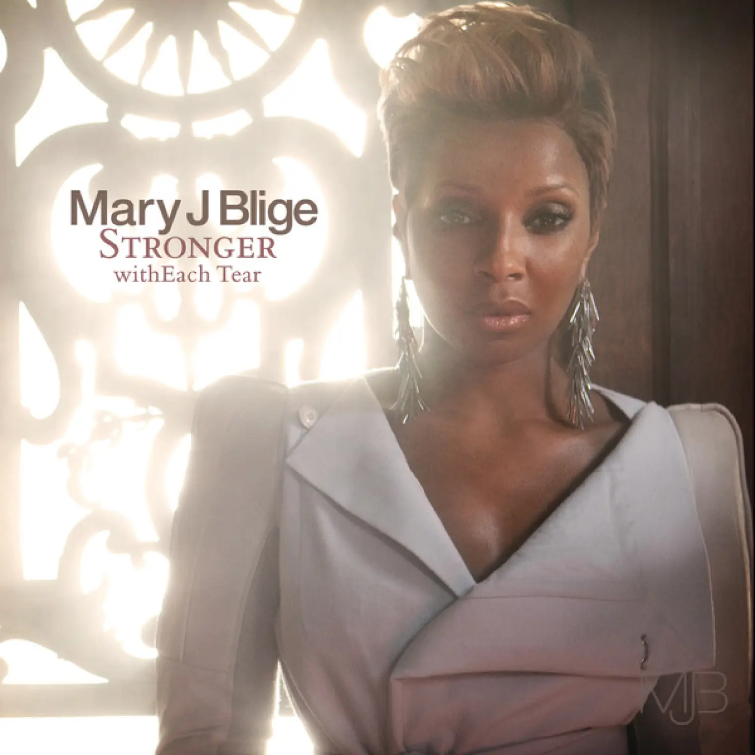 Stronger with Each Tear -  Mary J. Blige 