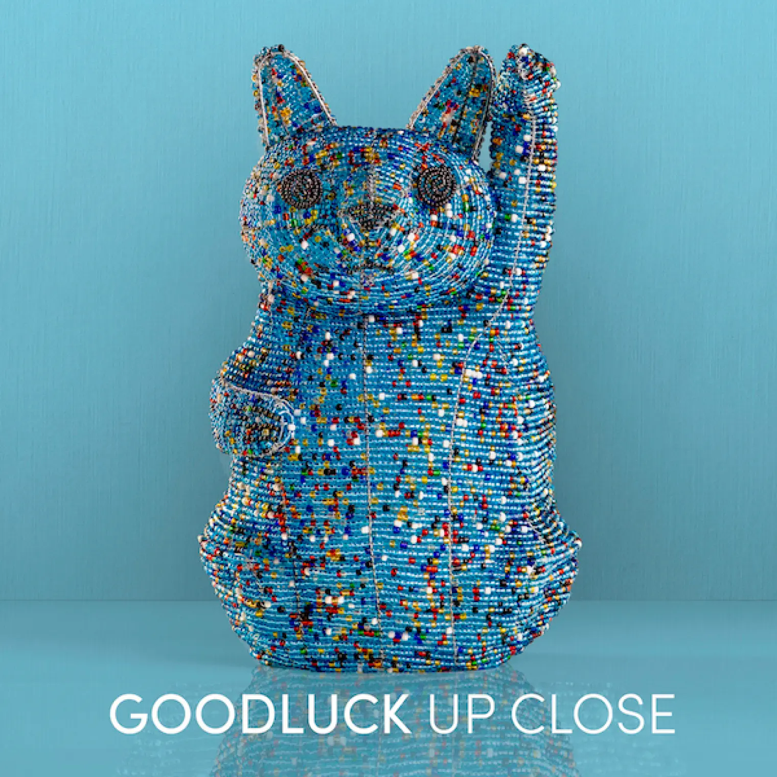 GoodLuck Up Close Album -  Goodluck 