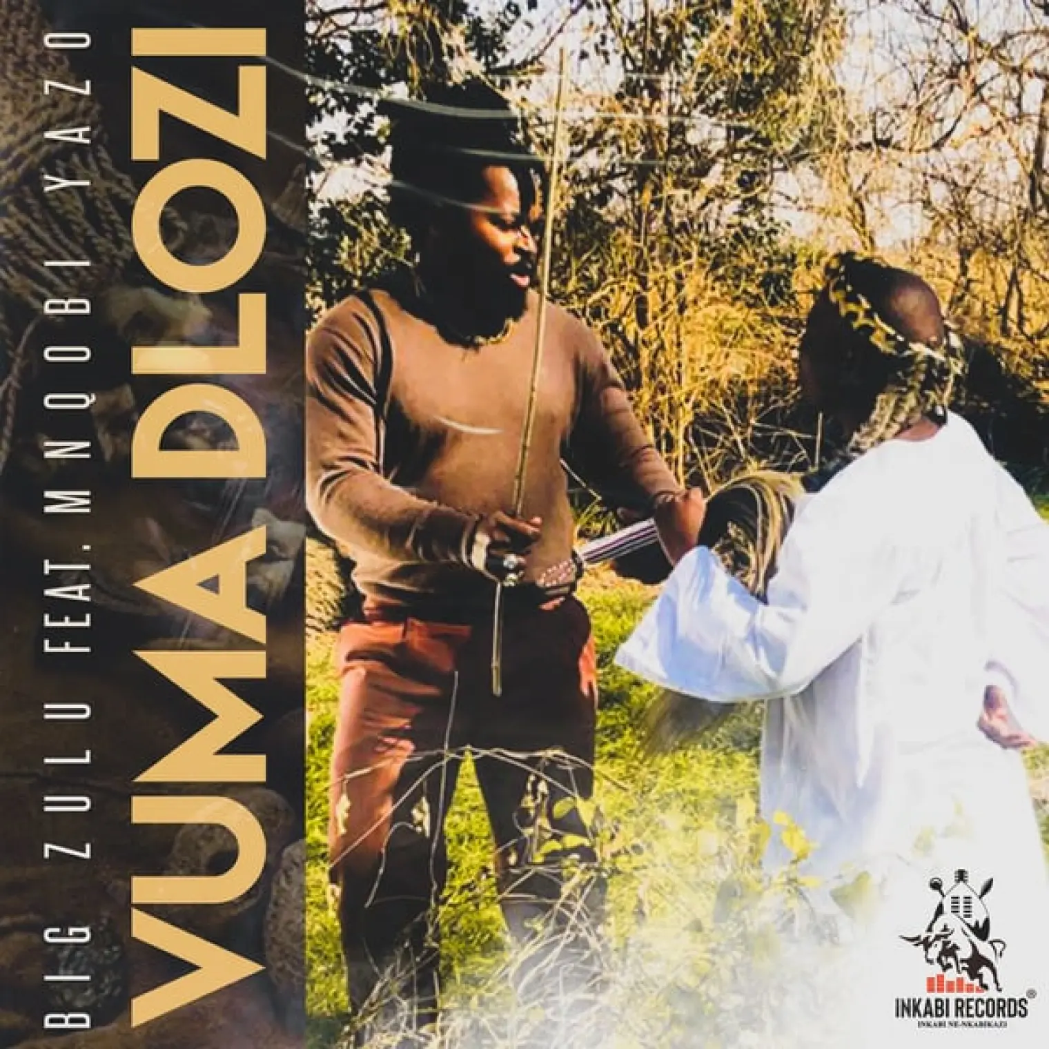 Vuma Dlozi -  Big Zulu 