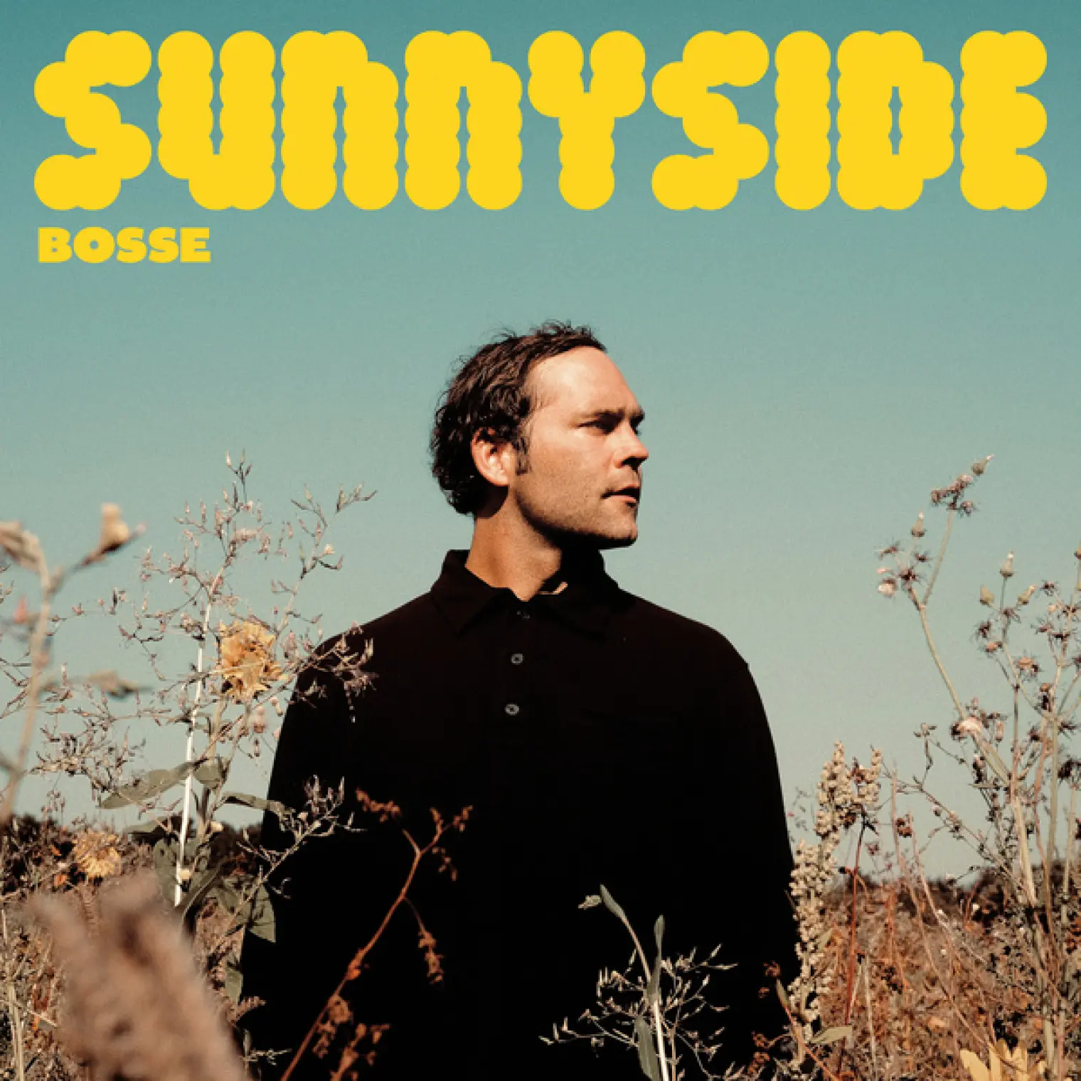 Sunnyside -  Bosse 