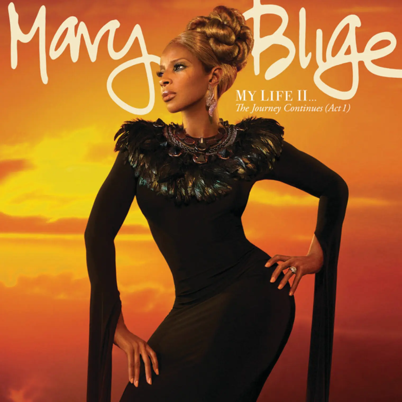 My Life II...The Journey Continues (Act 1) -  Mary J. Blige 