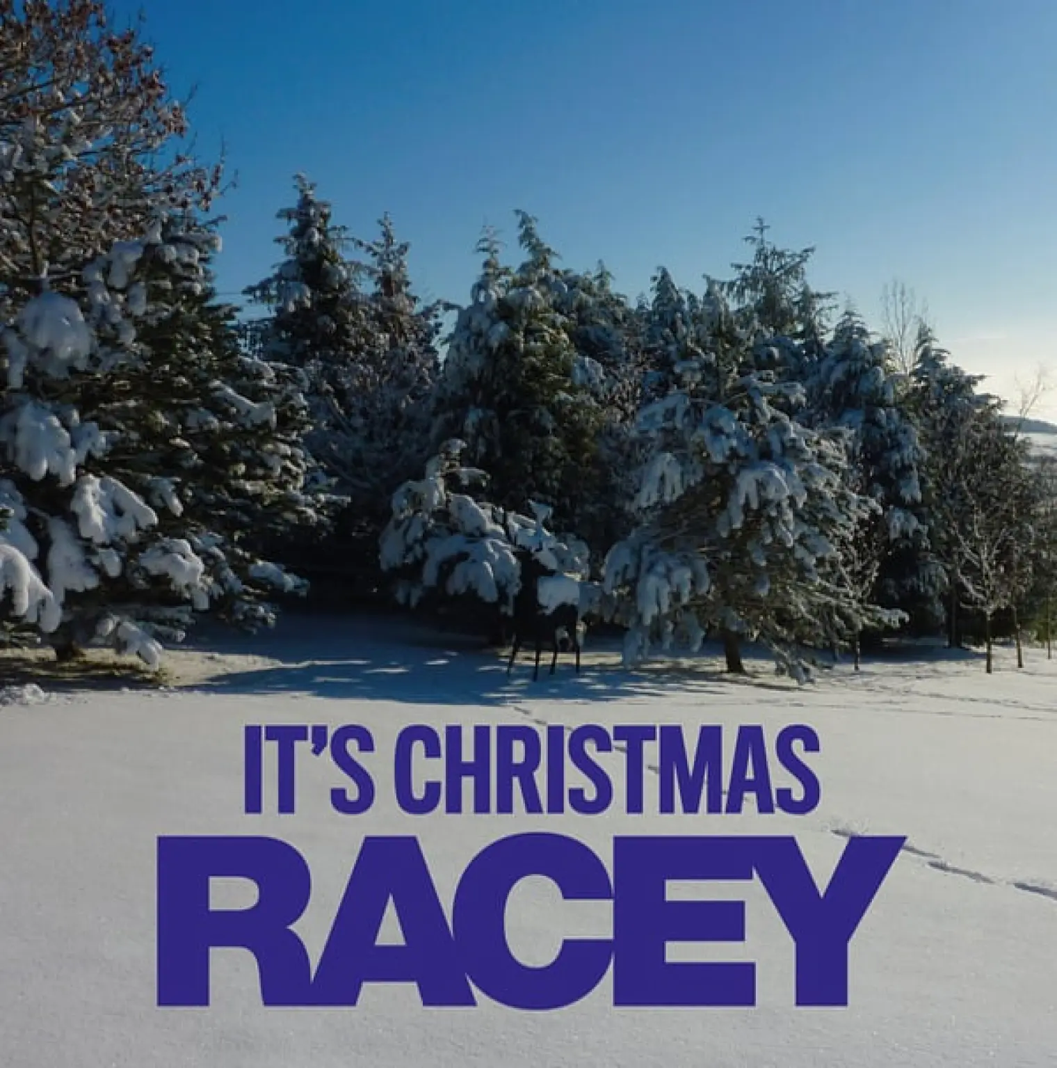 It's Christmas -  Racey 