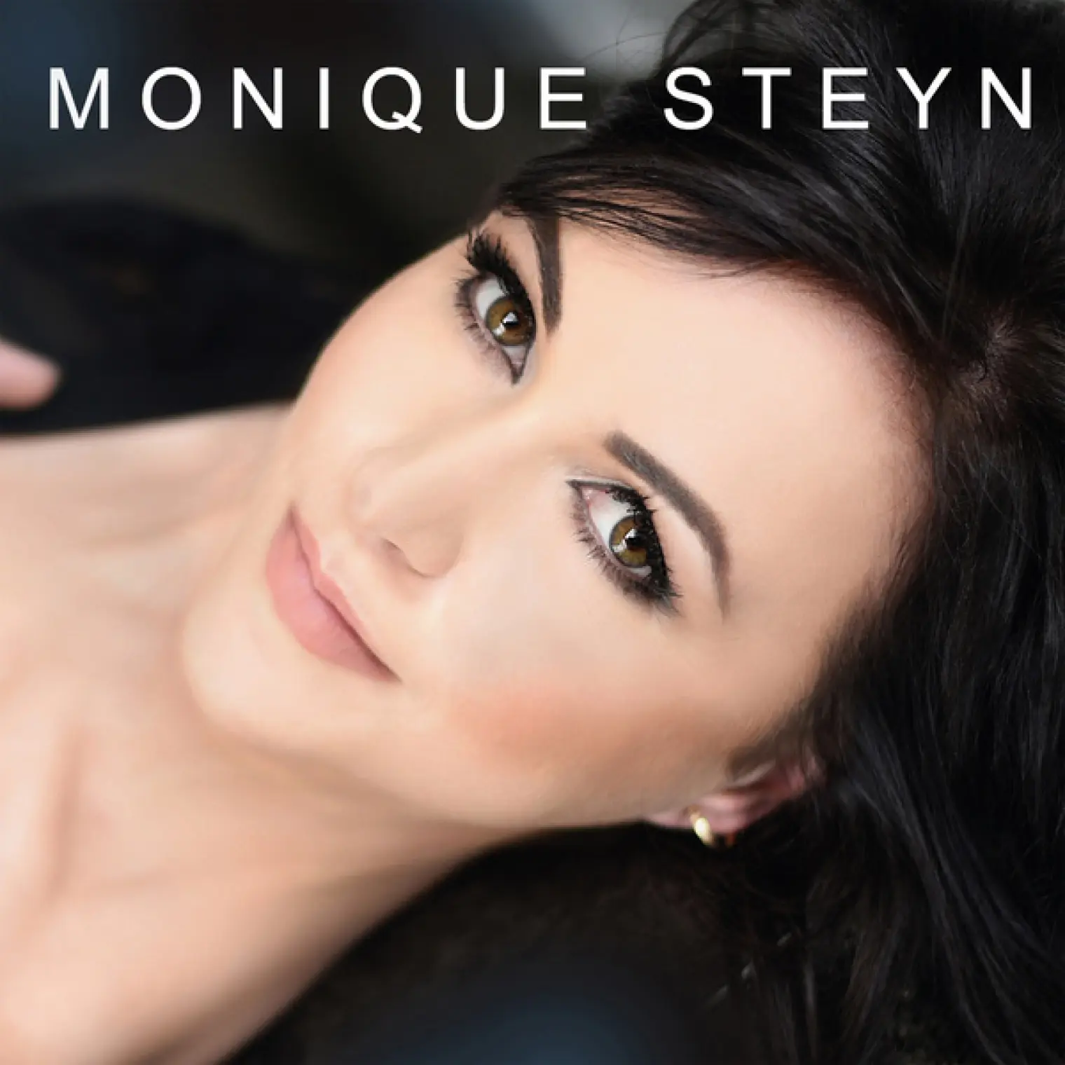 Mosaïek -  Monique Steyn 