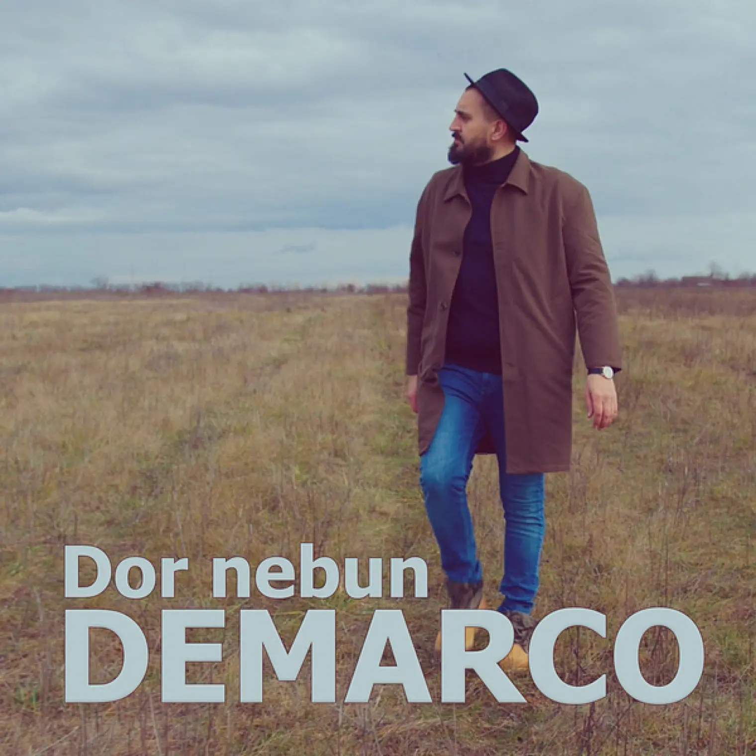 Dor Nebun -  Demarco 