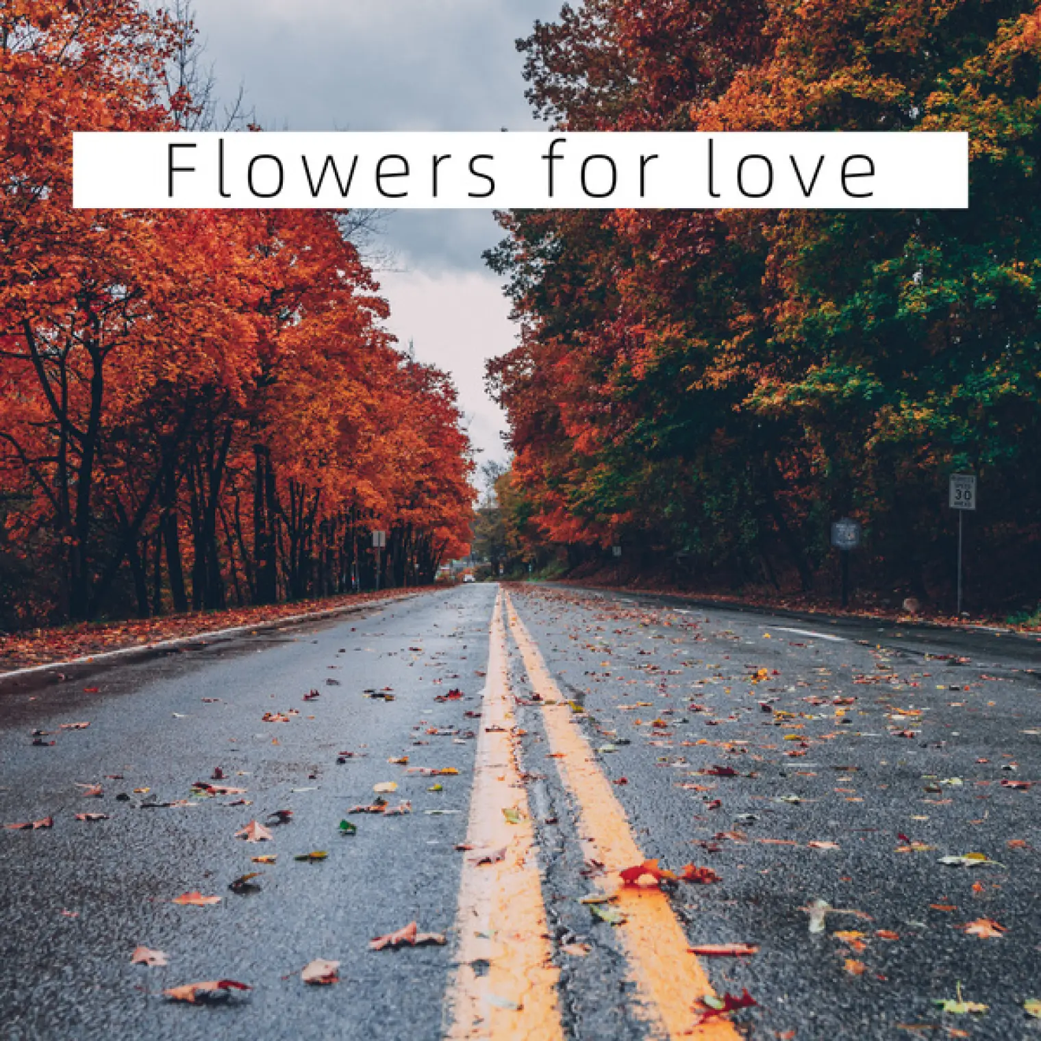 Flowers for love -  Elaine  