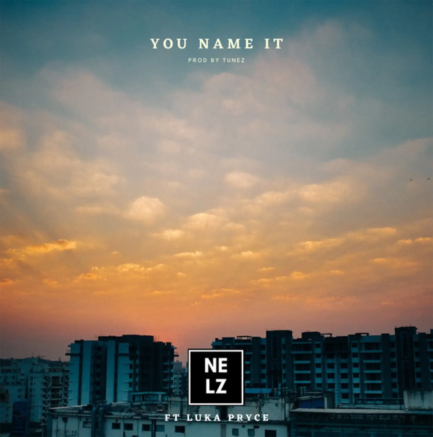 You Name It (feat. Luka Pryce) -  Nelz 