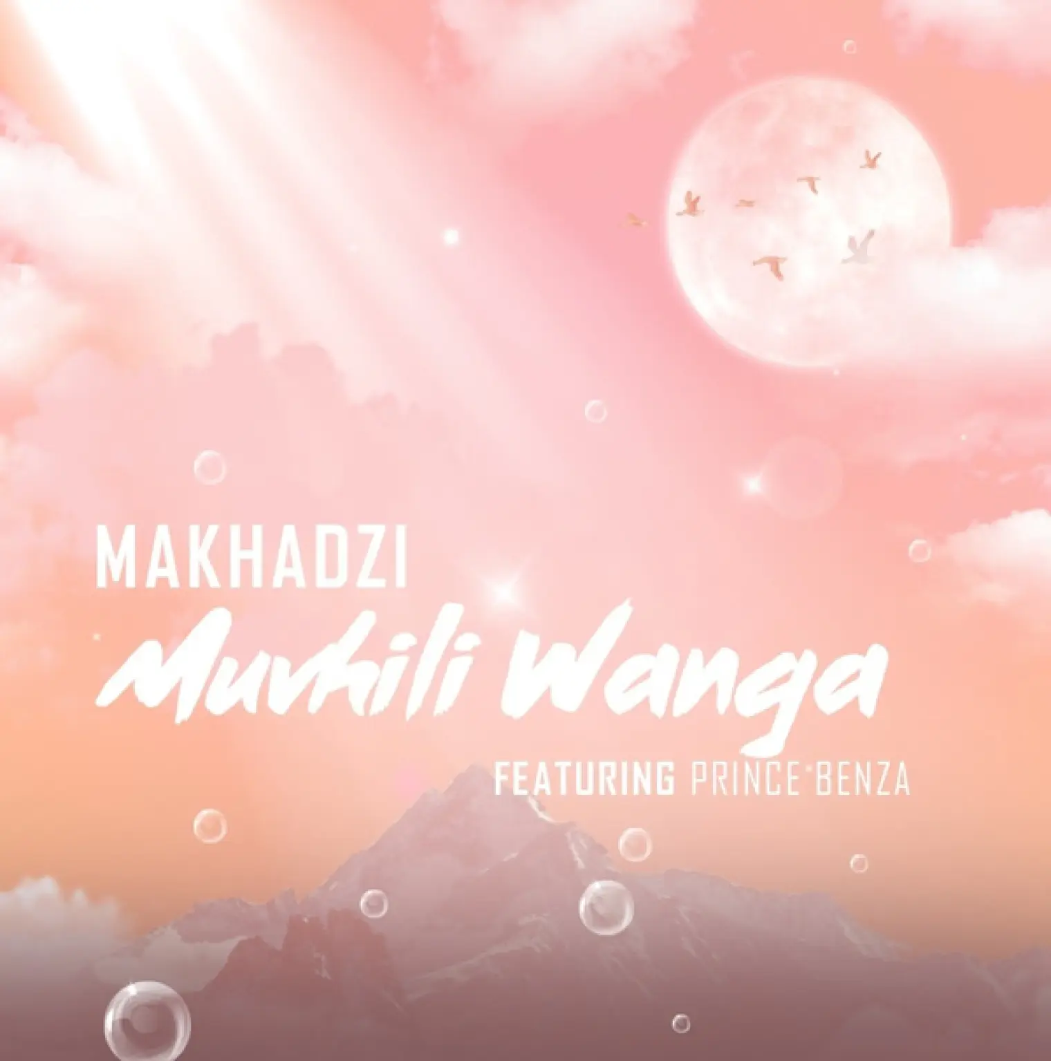 Muvhili Wanga (feat. Prince Benza) -  Makhadzi 