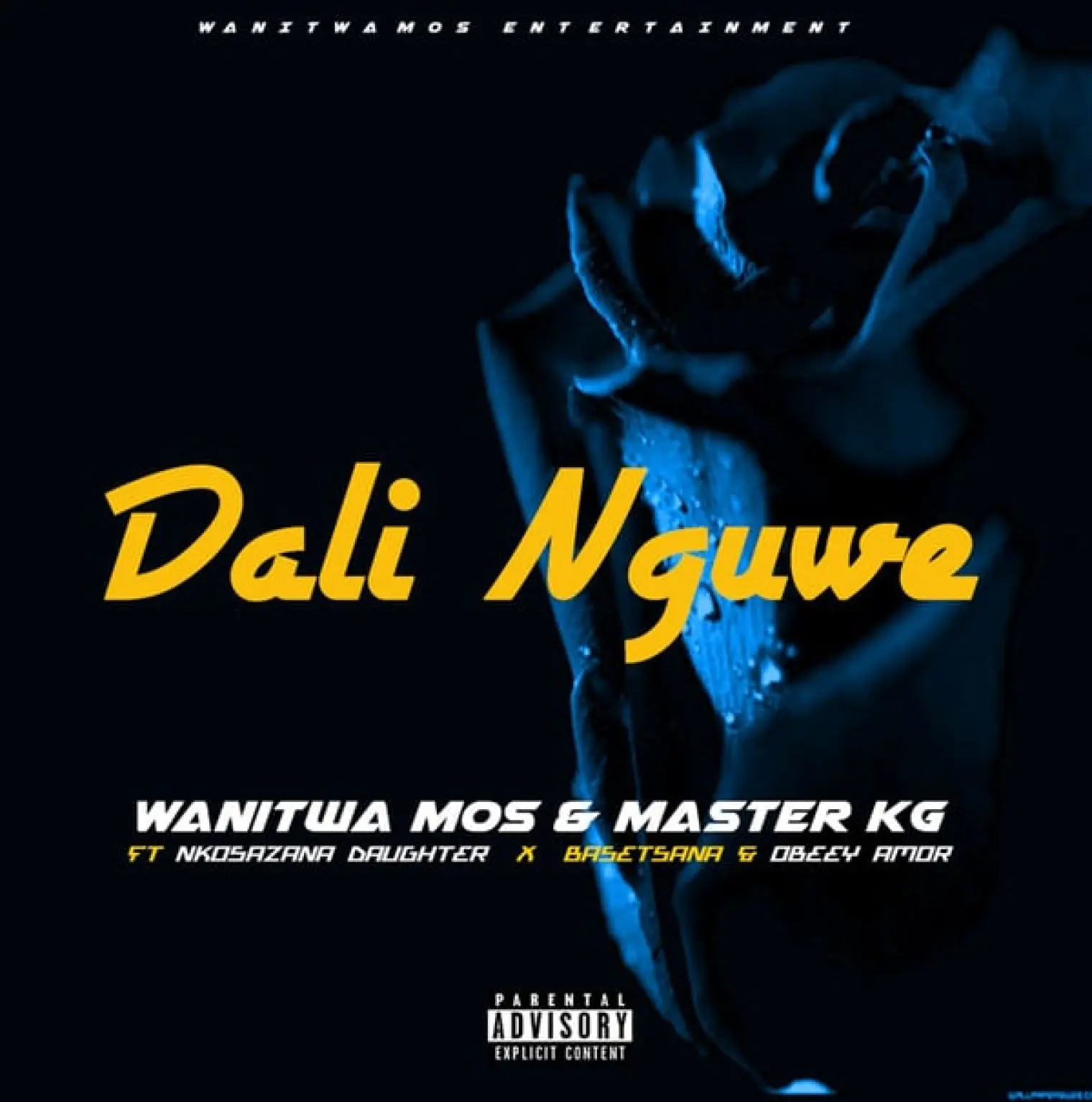 Dali Nguwe (feat. Nkosazana Daughter, Basetsana and Obeey Amor) -  Wanitwa Mos 