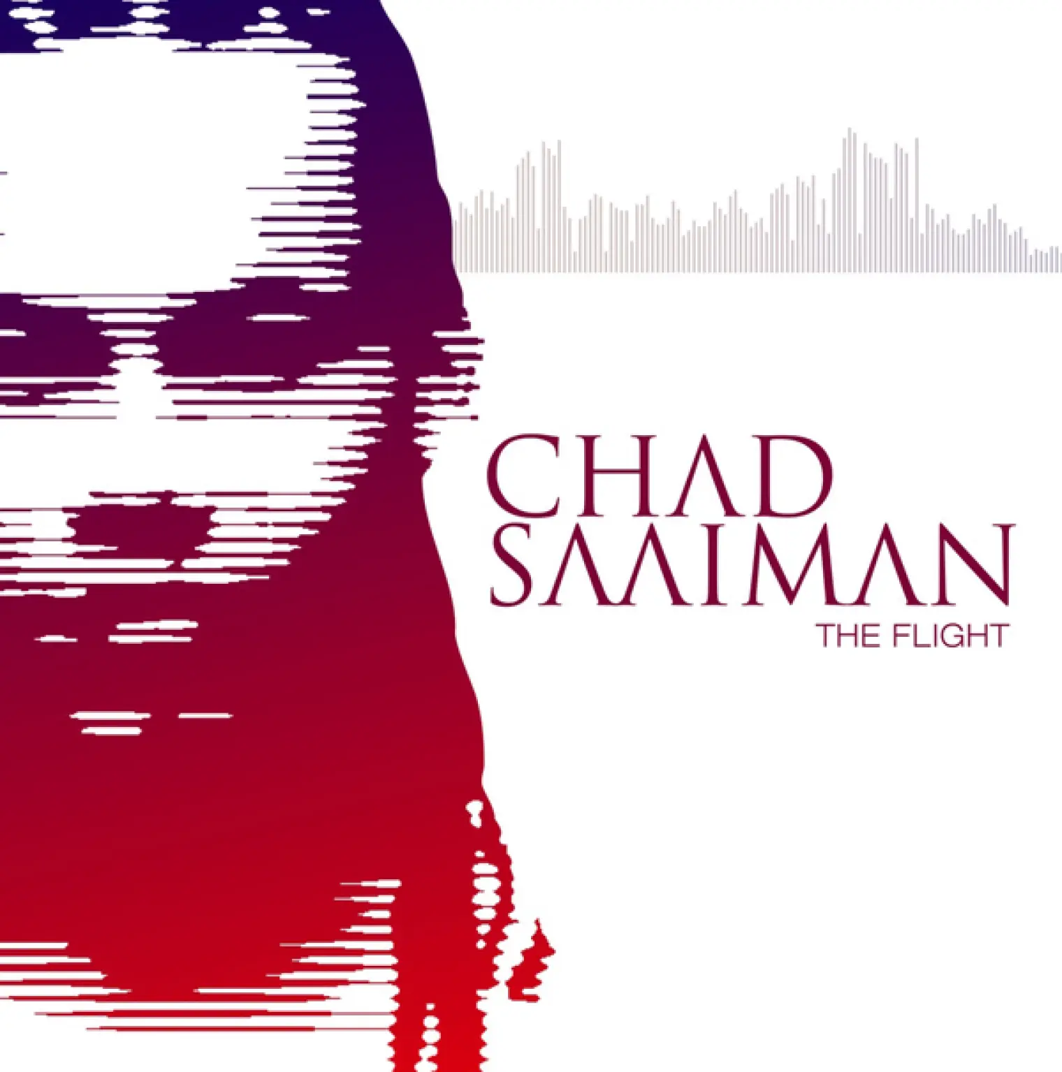 The Flight -  Chad Saaiman 