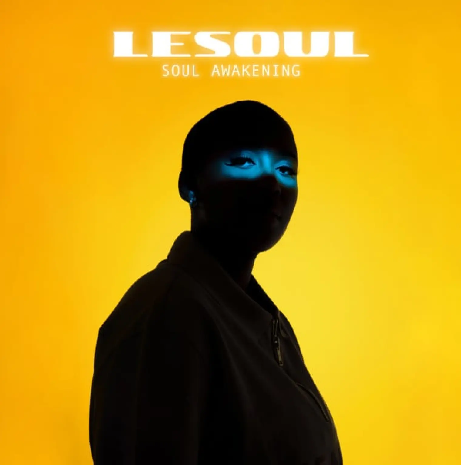 Soul Awakening -  DJ Lesoul 