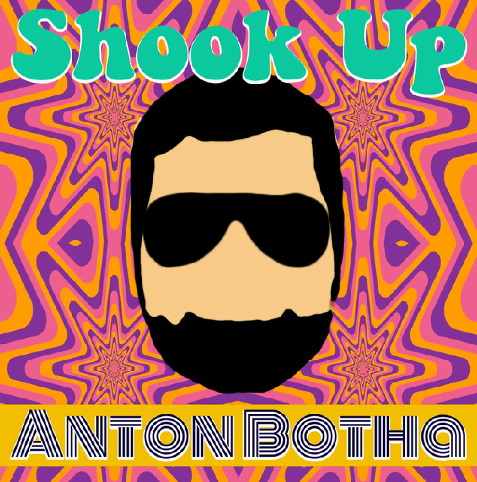 Shook Up -  Anton Botha 