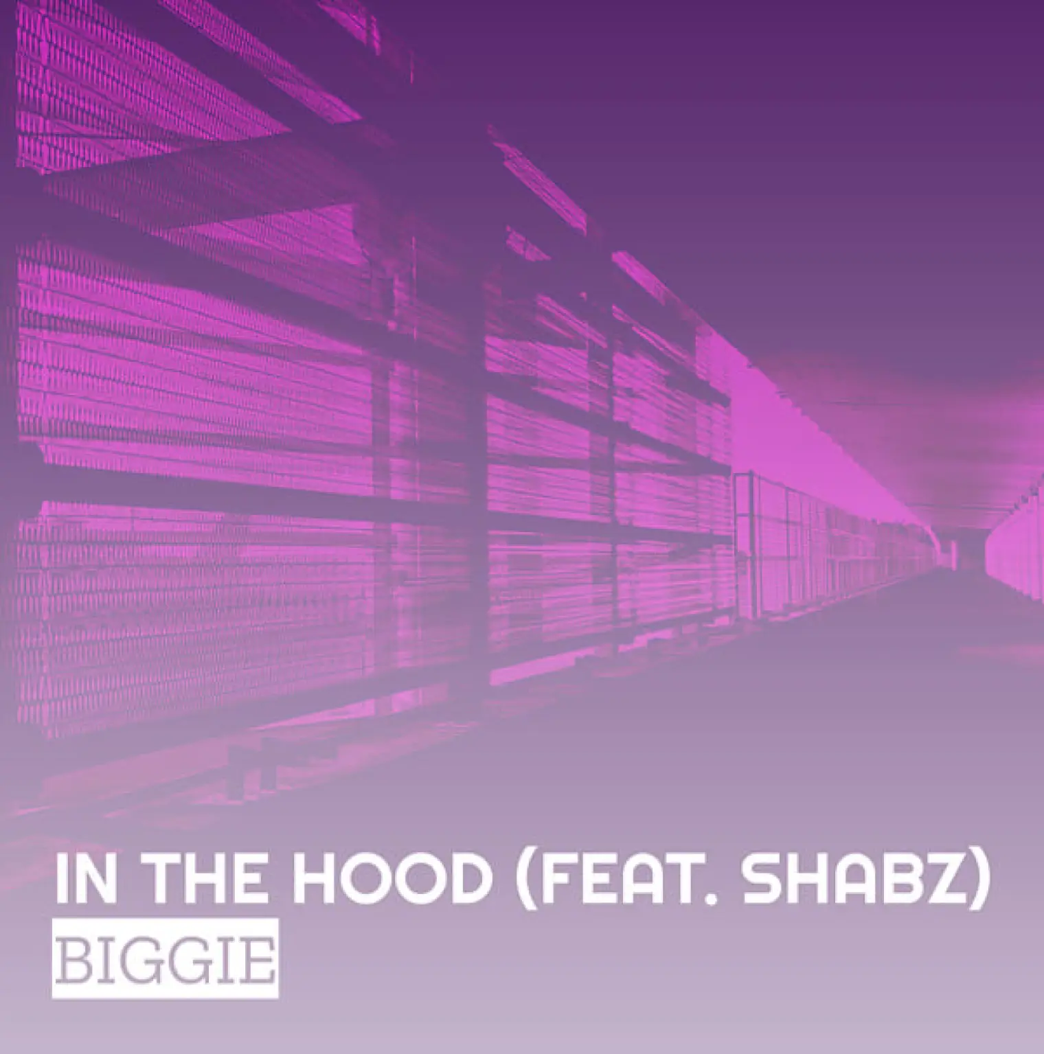 In the Hood -  Biggie 